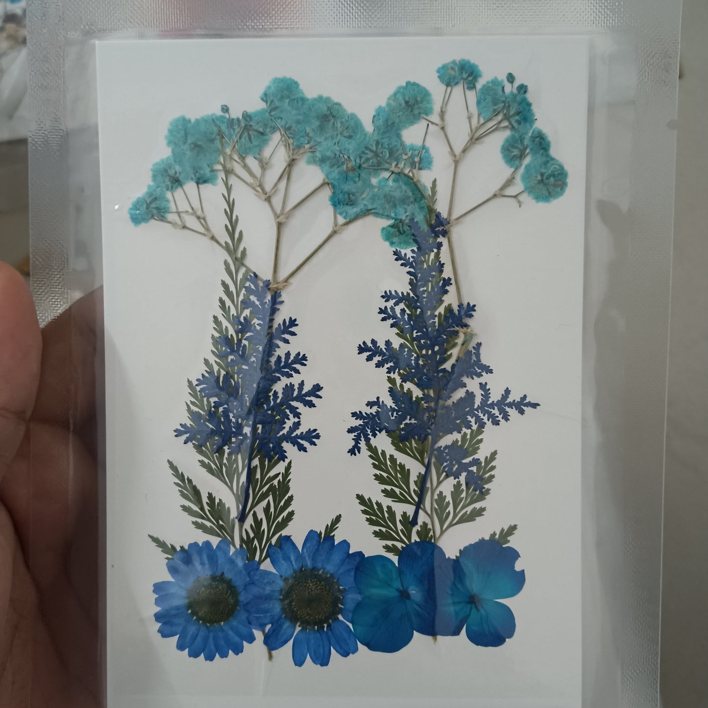 Blue flower pack