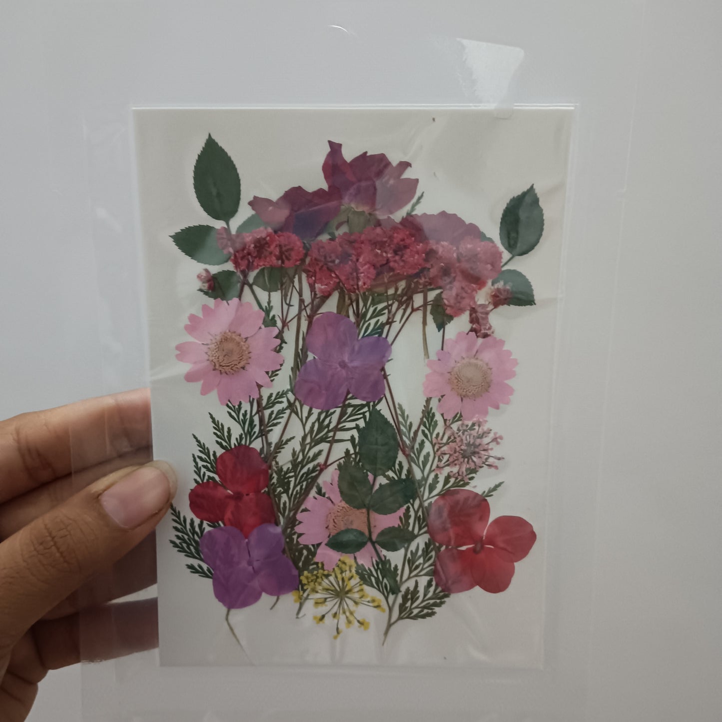 Red flower pack