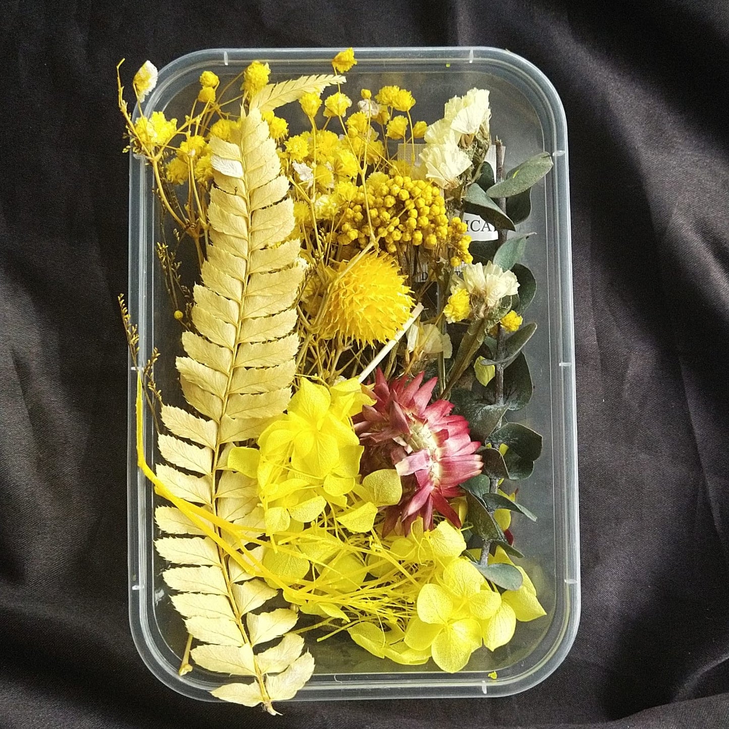 Dry Flower Box