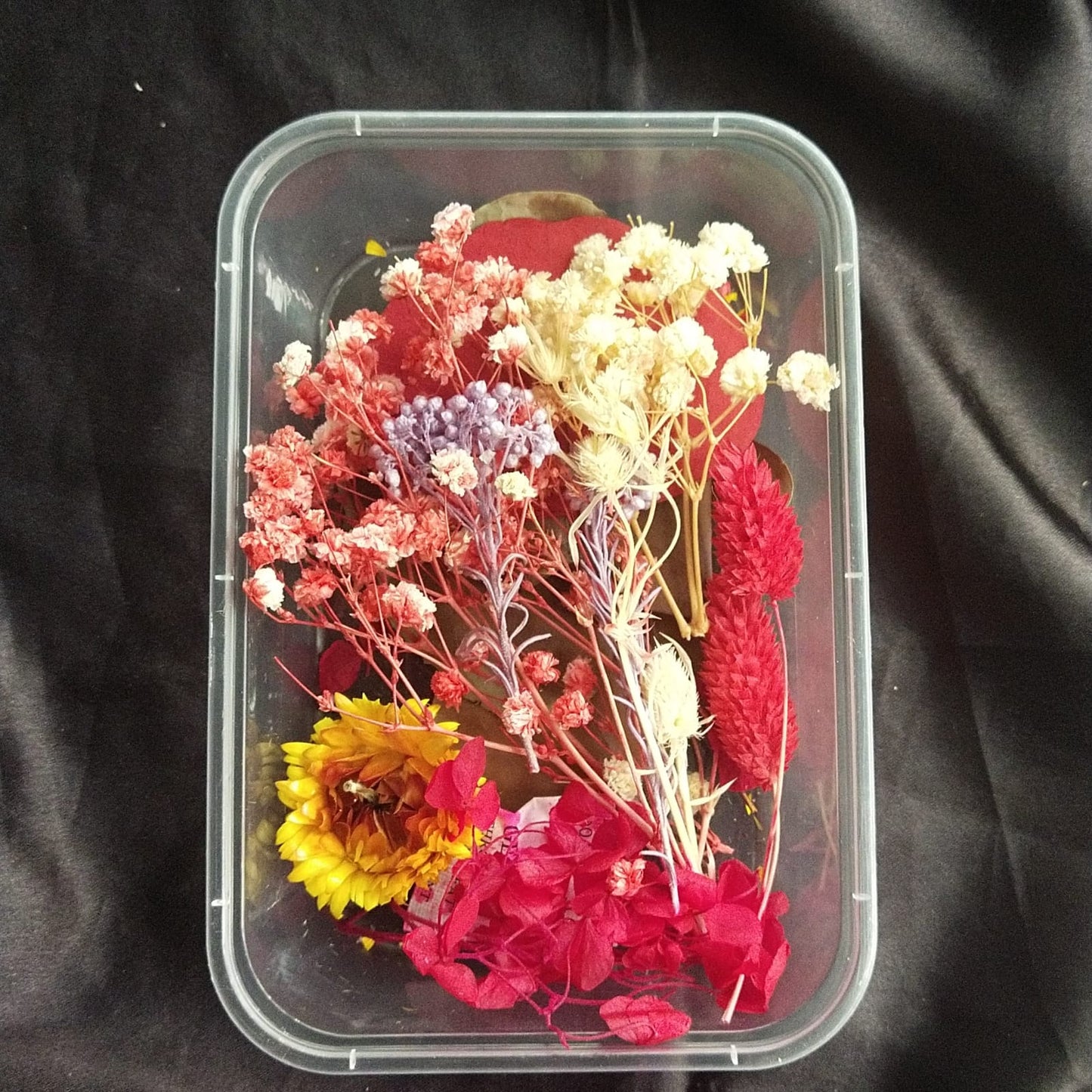 Dry Flower Box