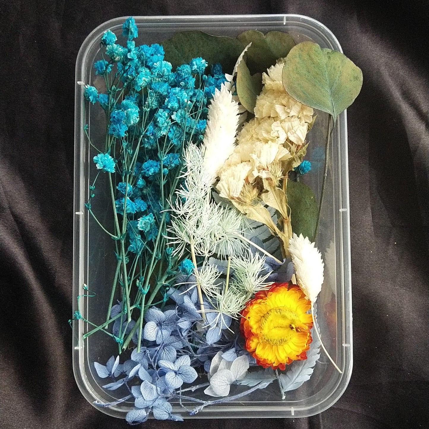 Dry Flower Box