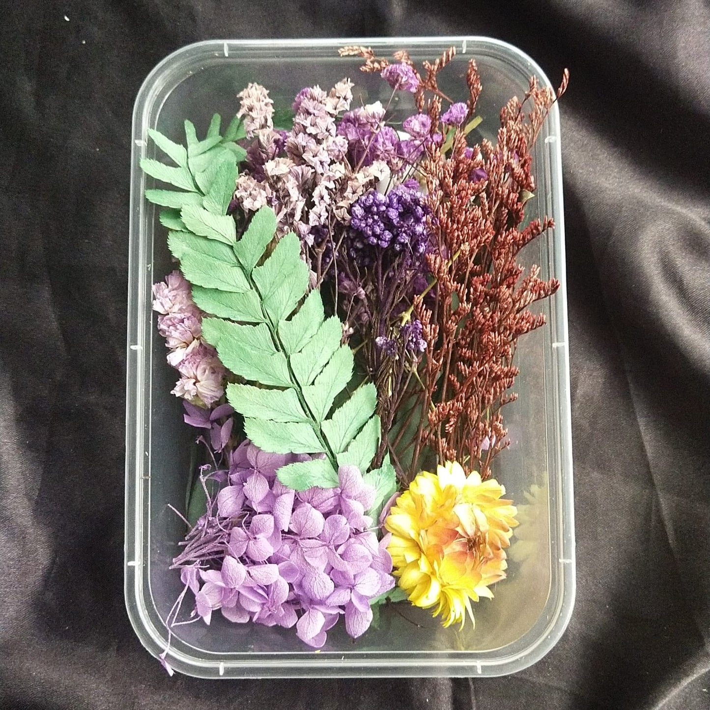 Dry Flower Box