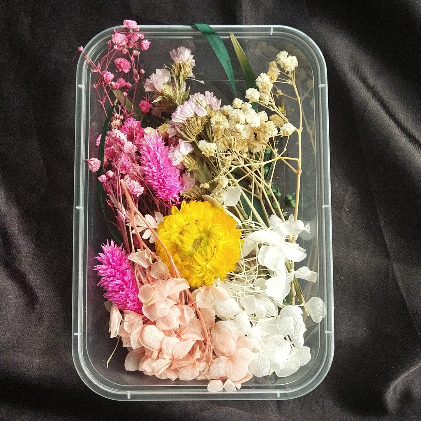 Dry Flower Box