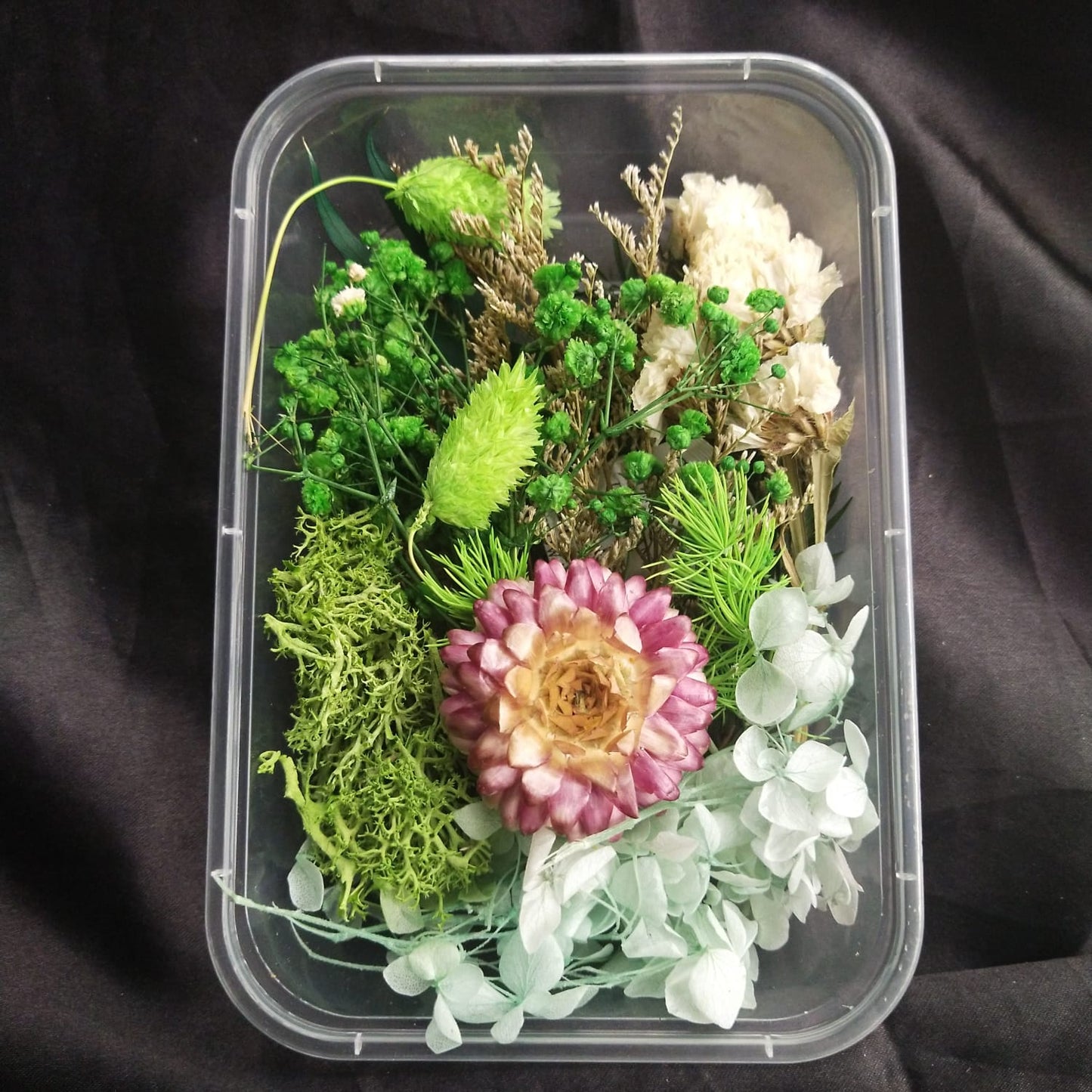 Dry Flower Box