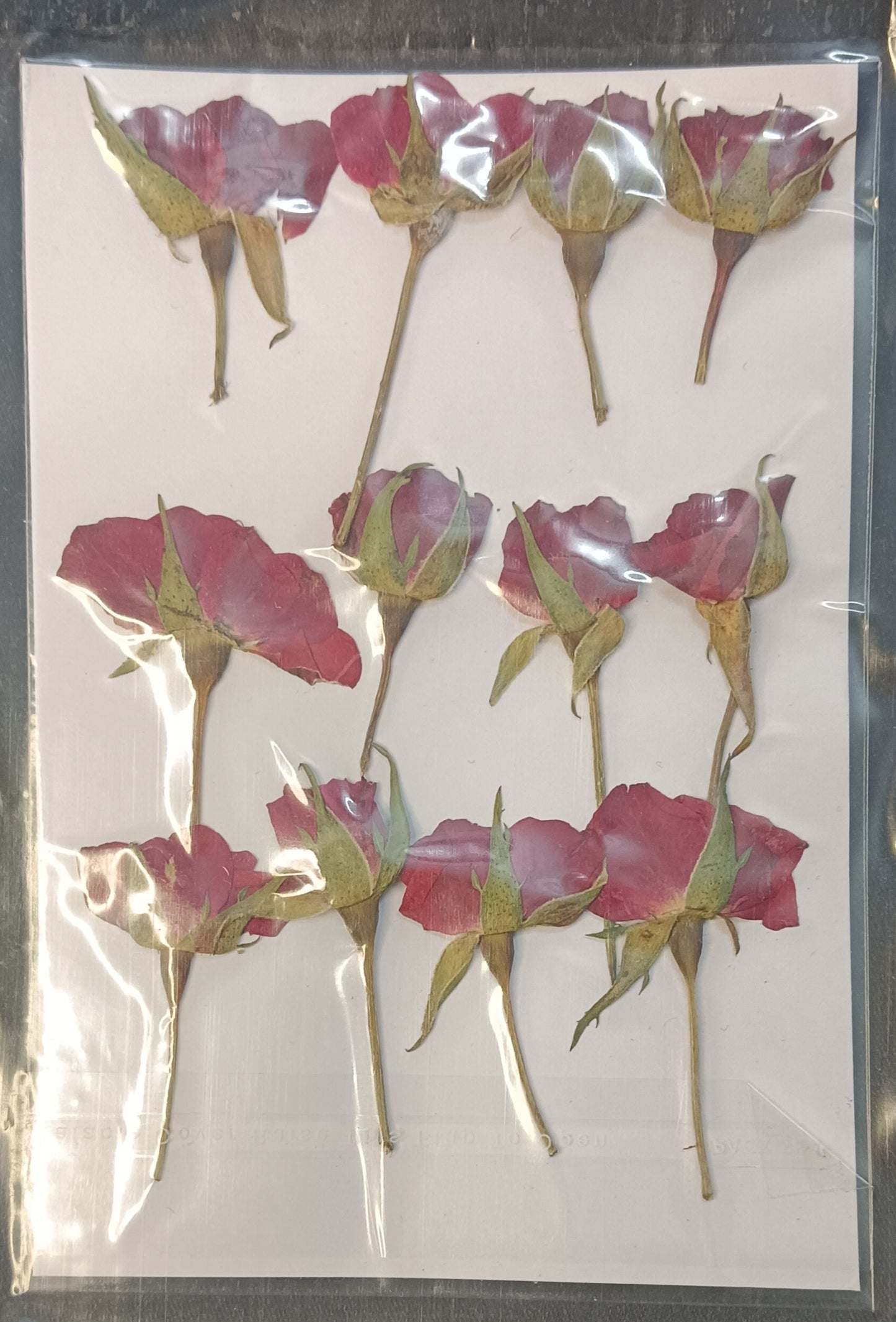 Dried Rose Buds