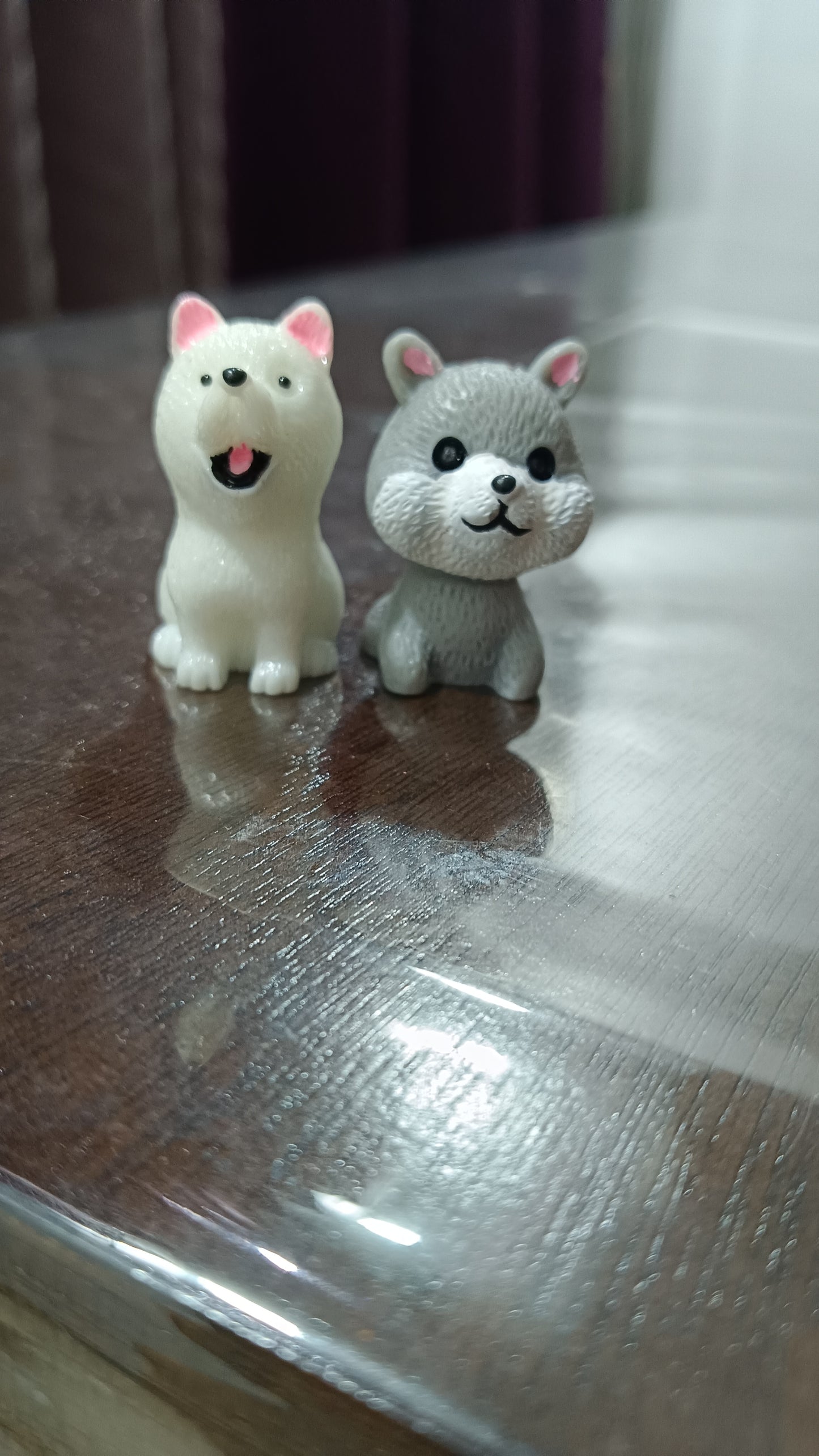 Puppy miniature
