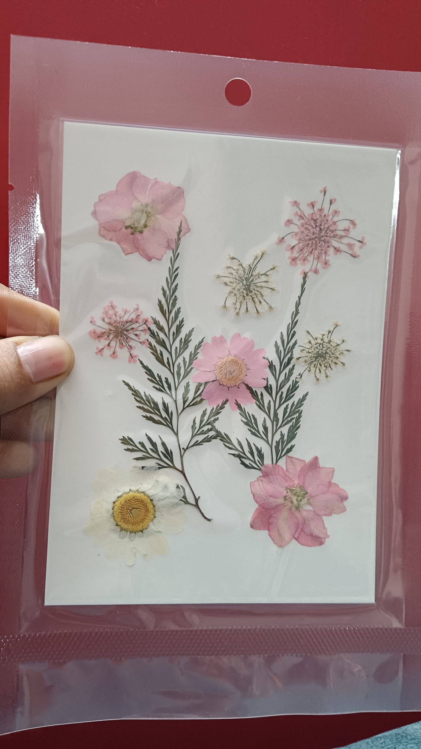 Pink flower pack