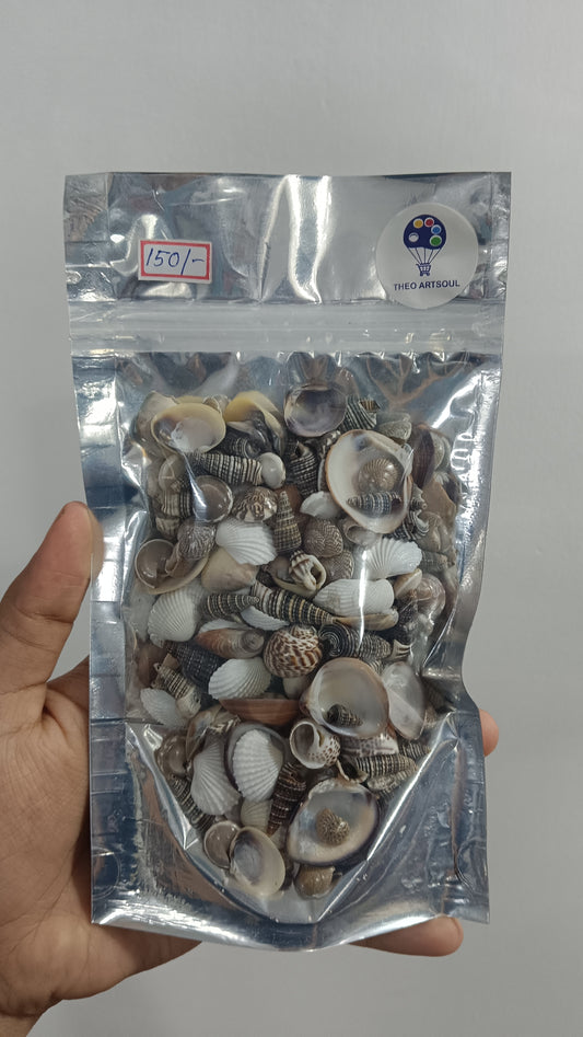 Sea shells 100 GM's