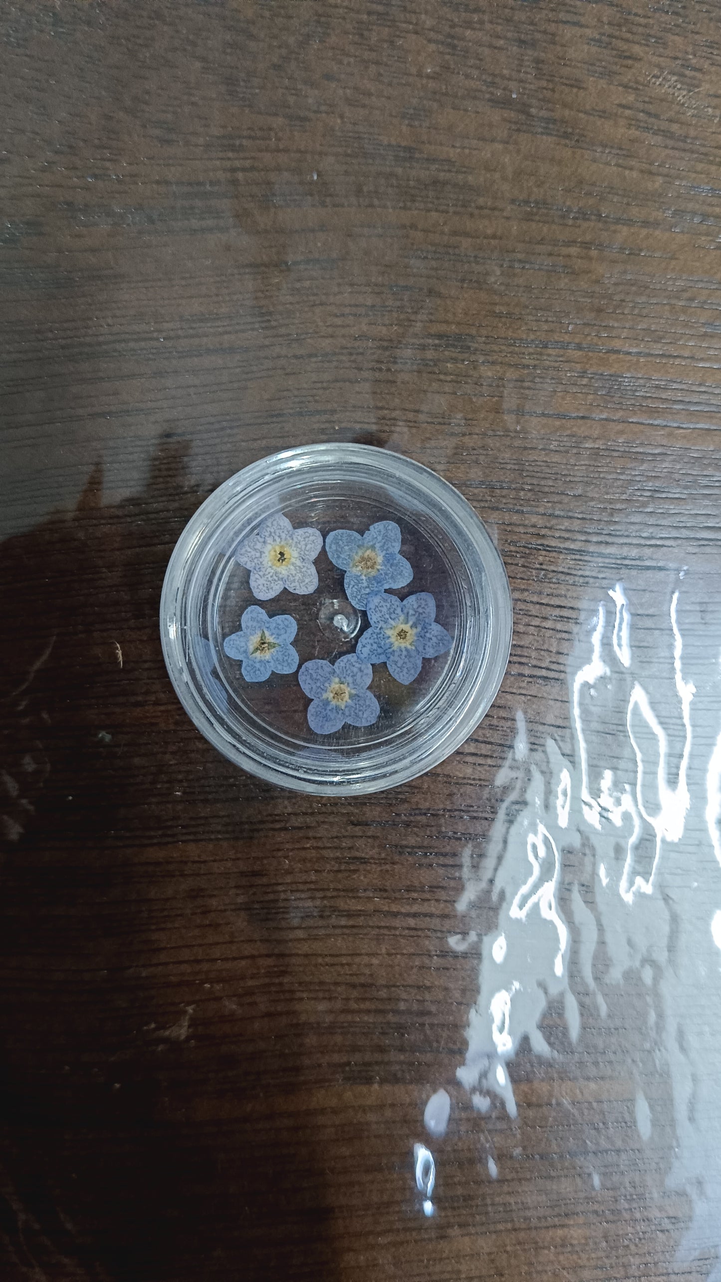 Forget me not tester pack of 5