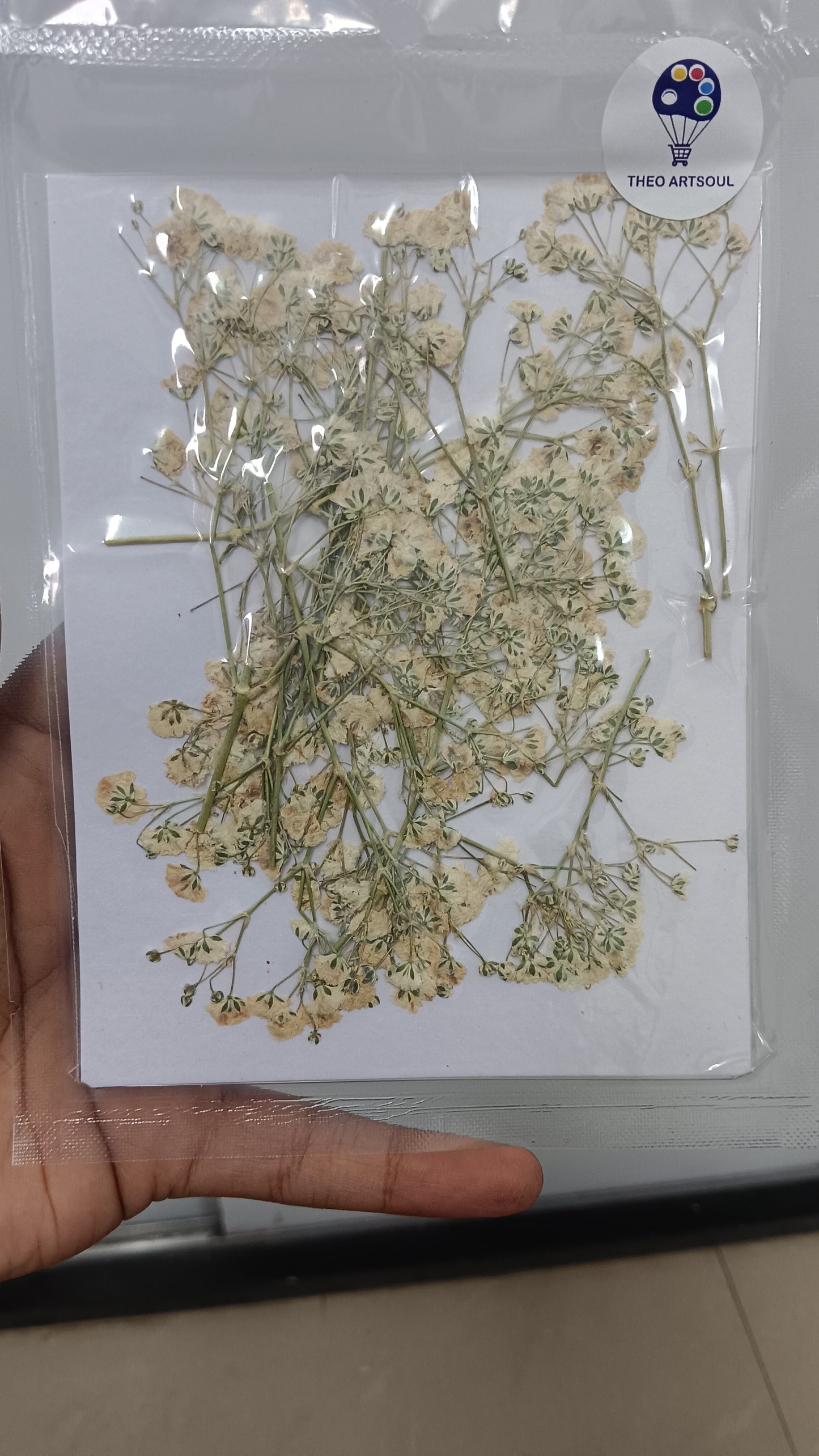 White baby breath