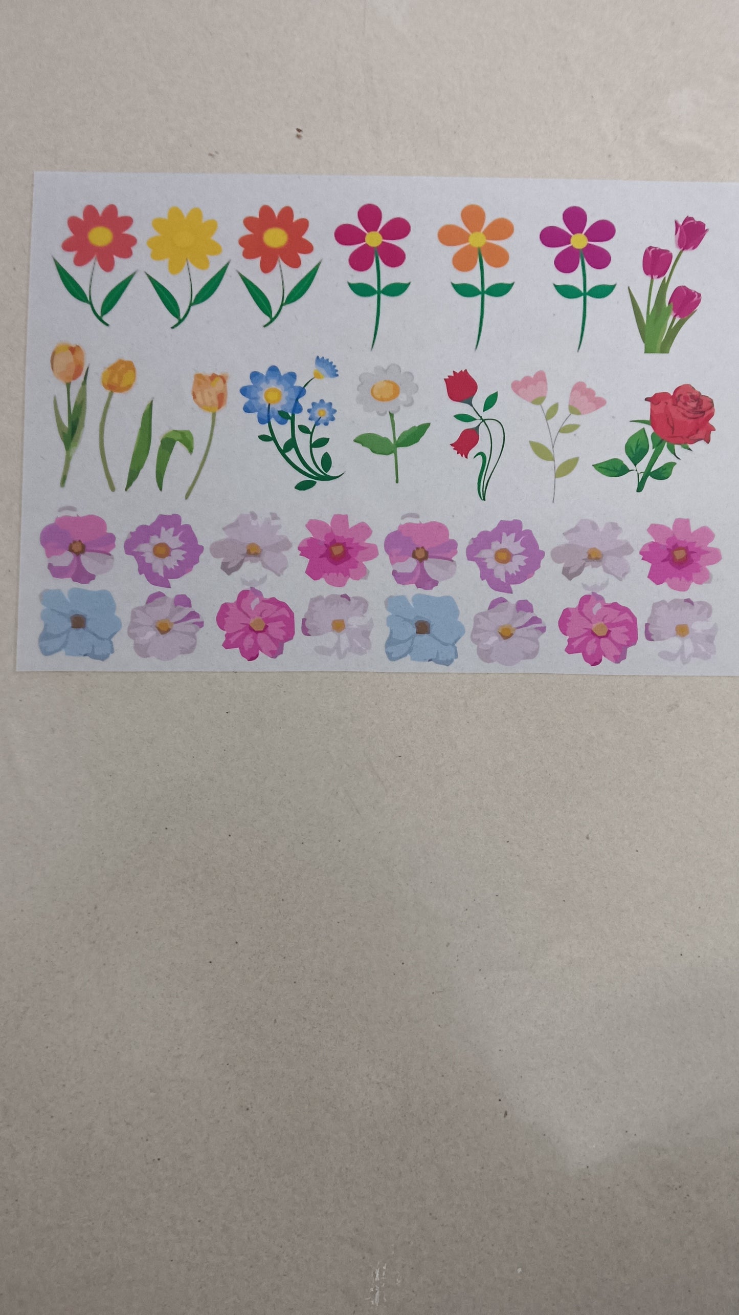 Flower colored A5 insert