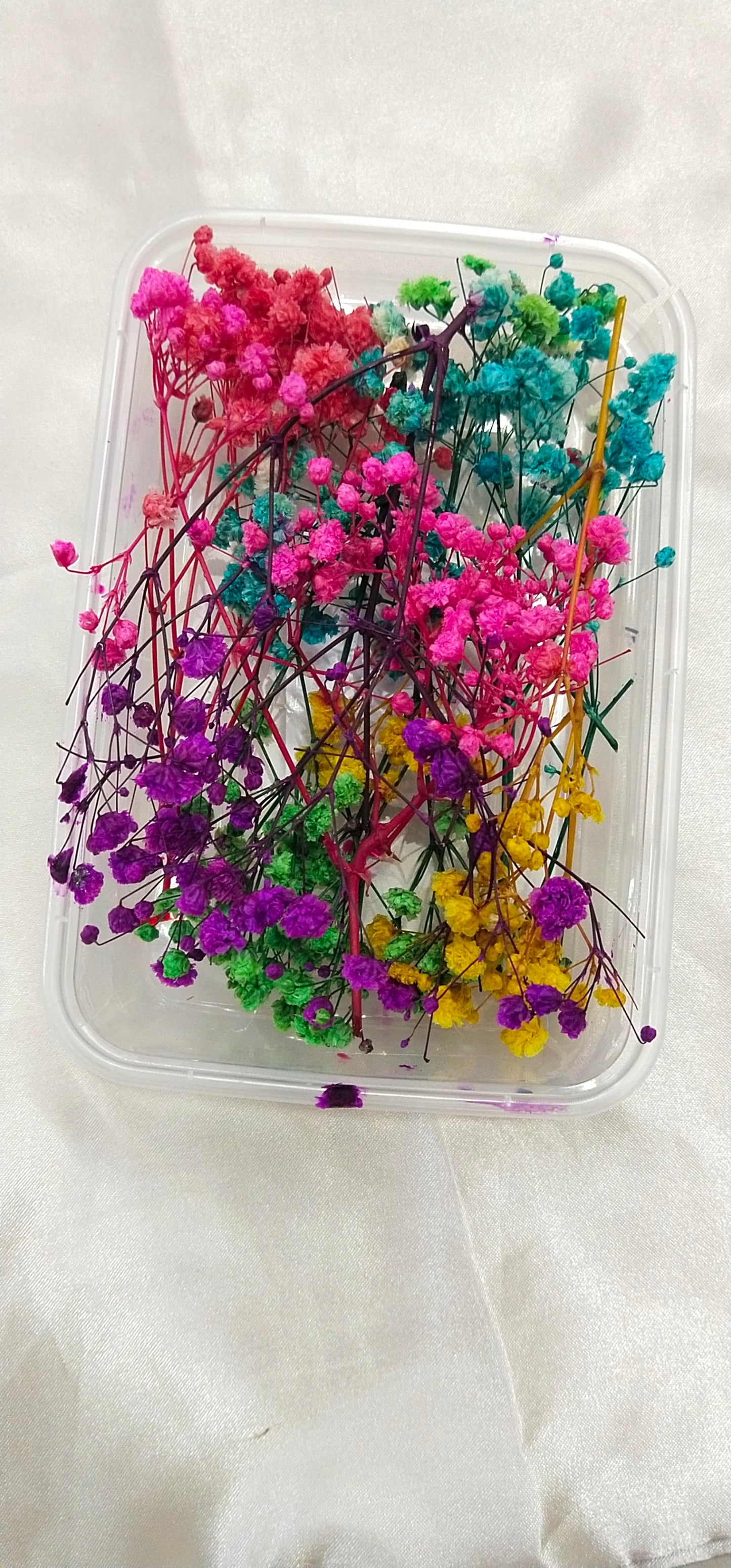 Dry Flower Box