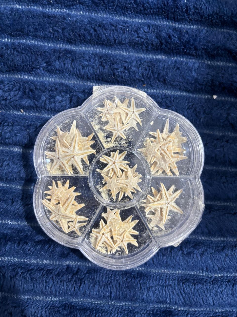 Starfish 50 pc