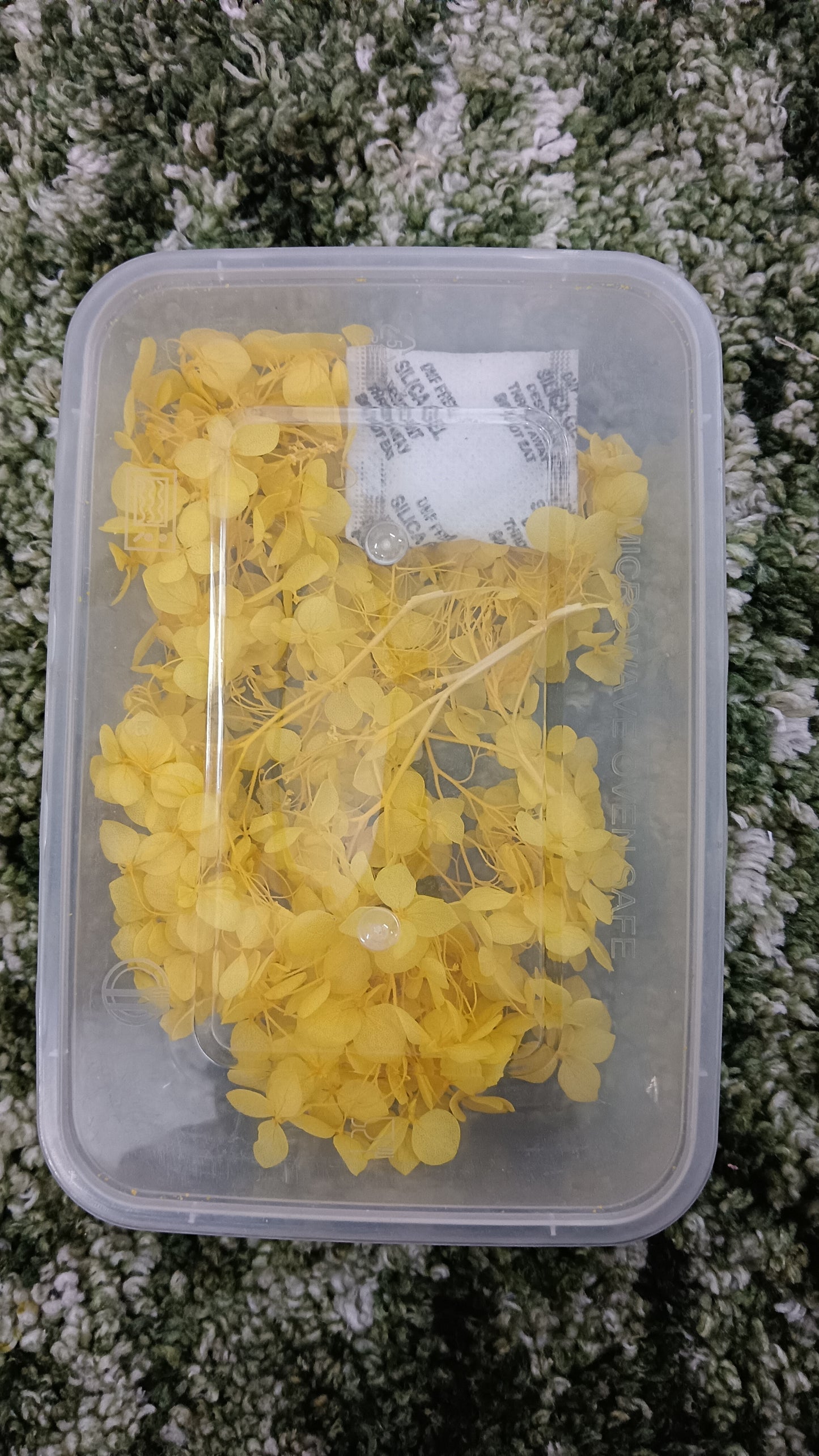 Yellow Hydrangeas box