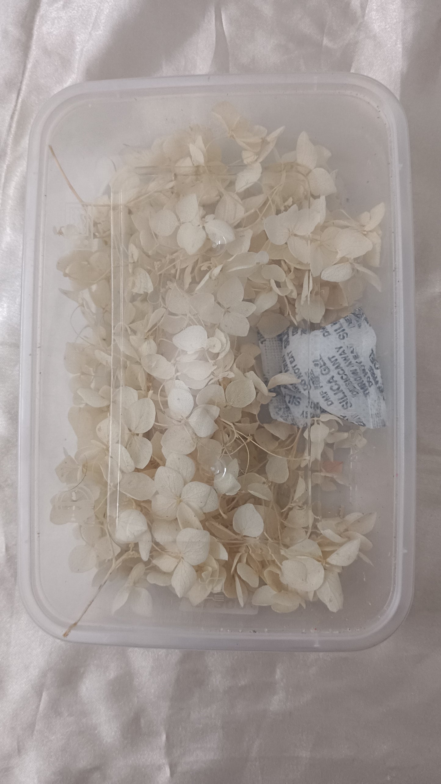 Off white Hydrangeas box