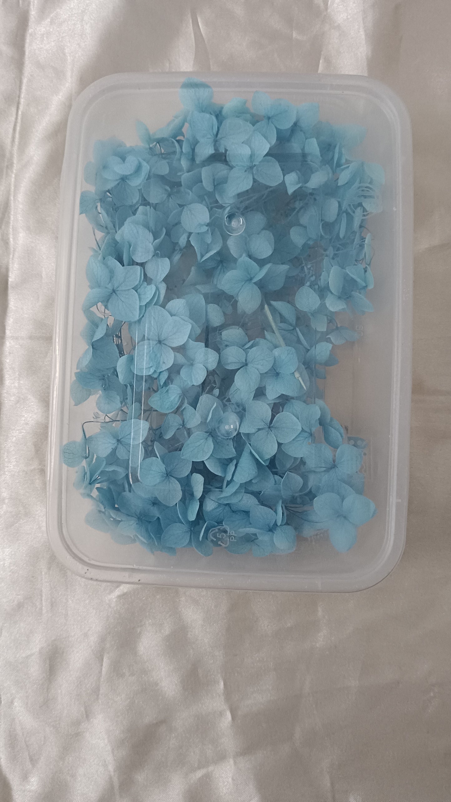 Blue Hydrangeas box