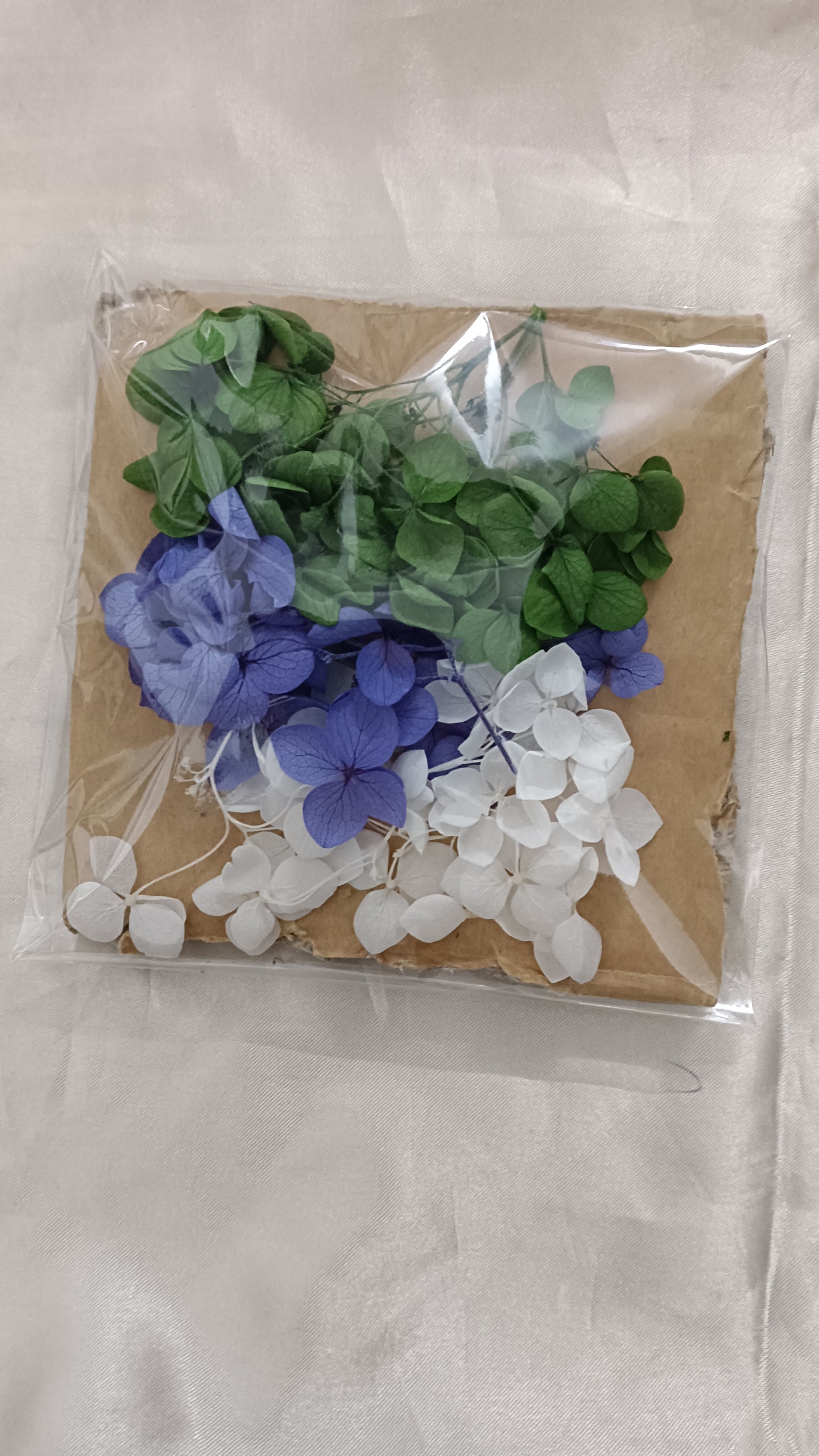 Hydrangea combo 2
