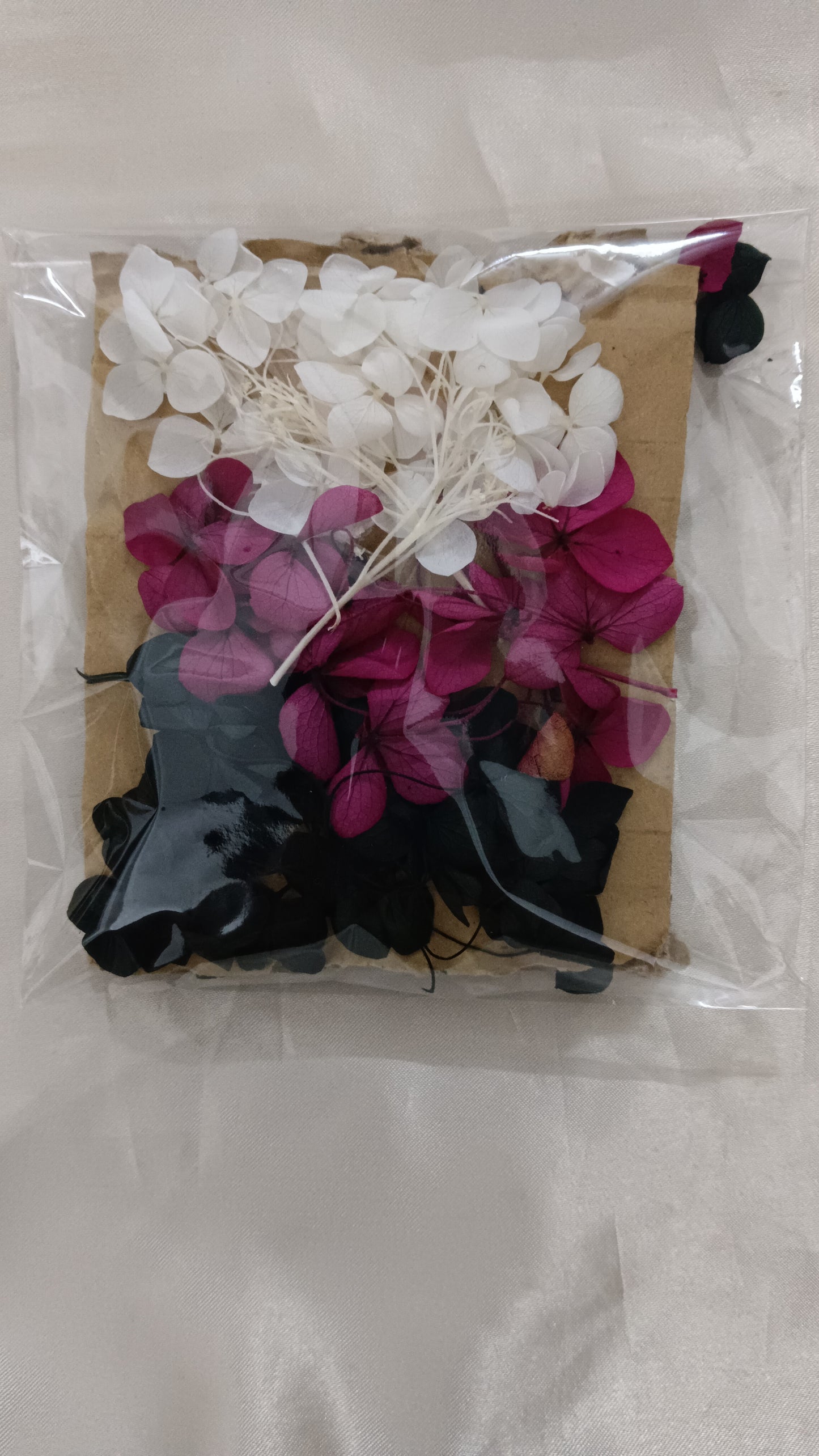 Hydrangea combo 4
