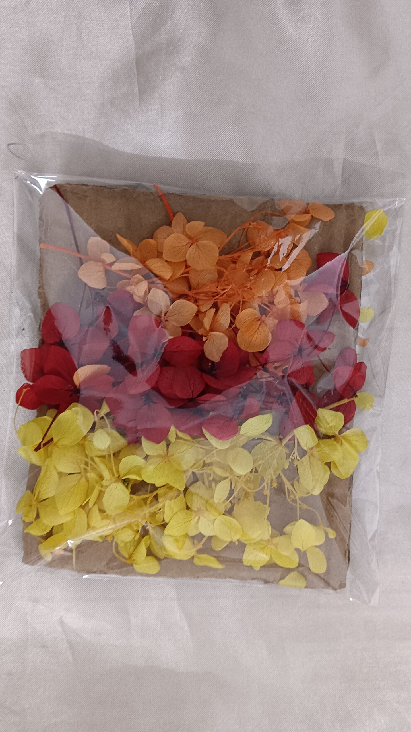 Hydrangea combo 5