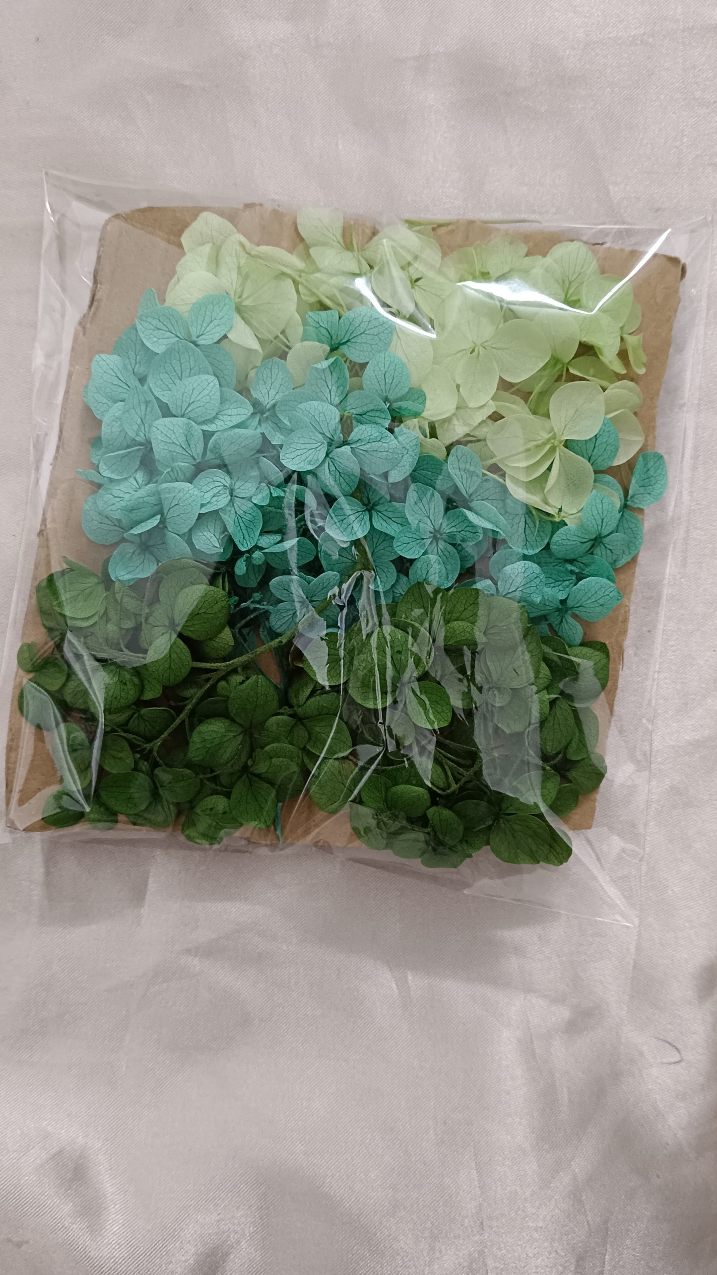 Hydrangea combo 10