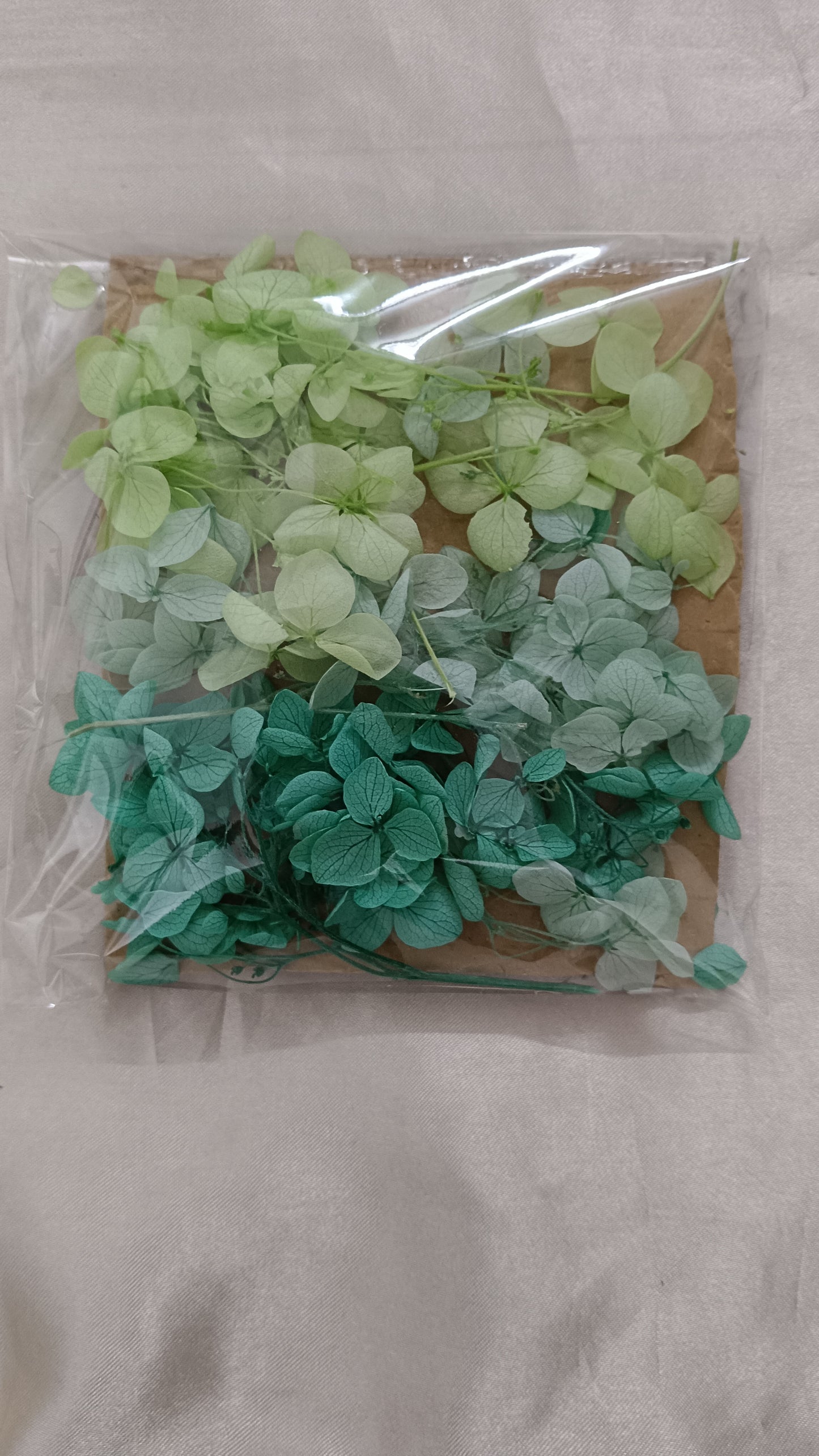 Hydrangea combo 11