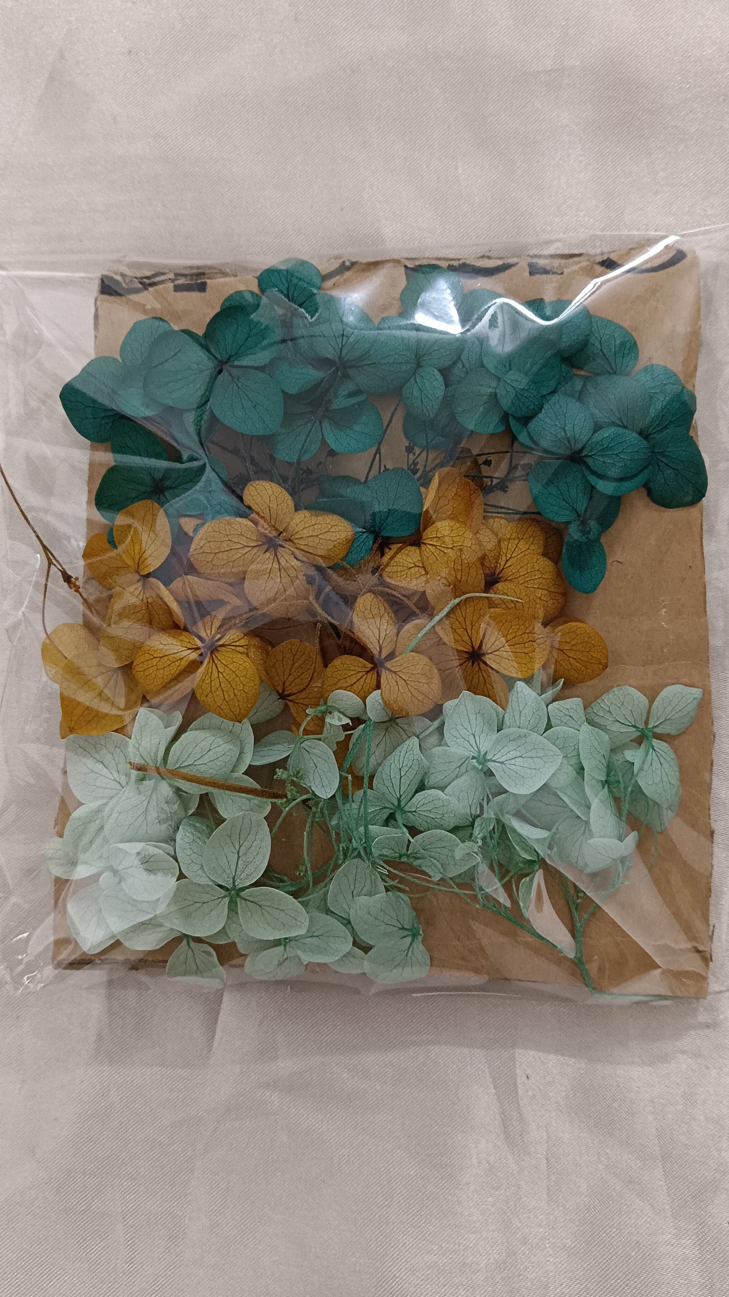 Hydrangea combo 12