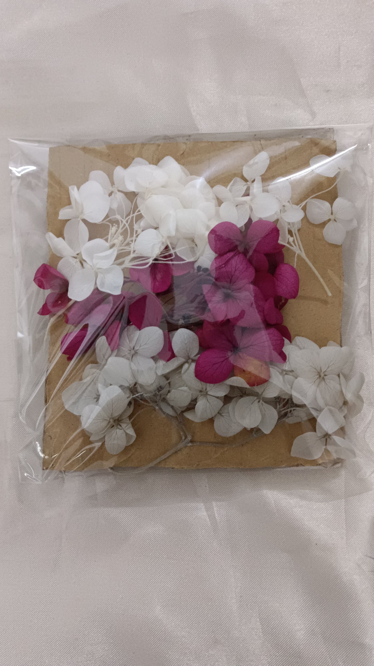 Hydrangea combo 14