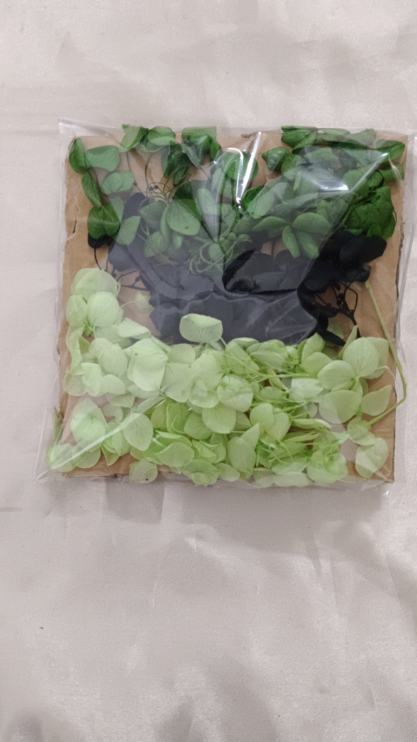 Hydrangea combo 15