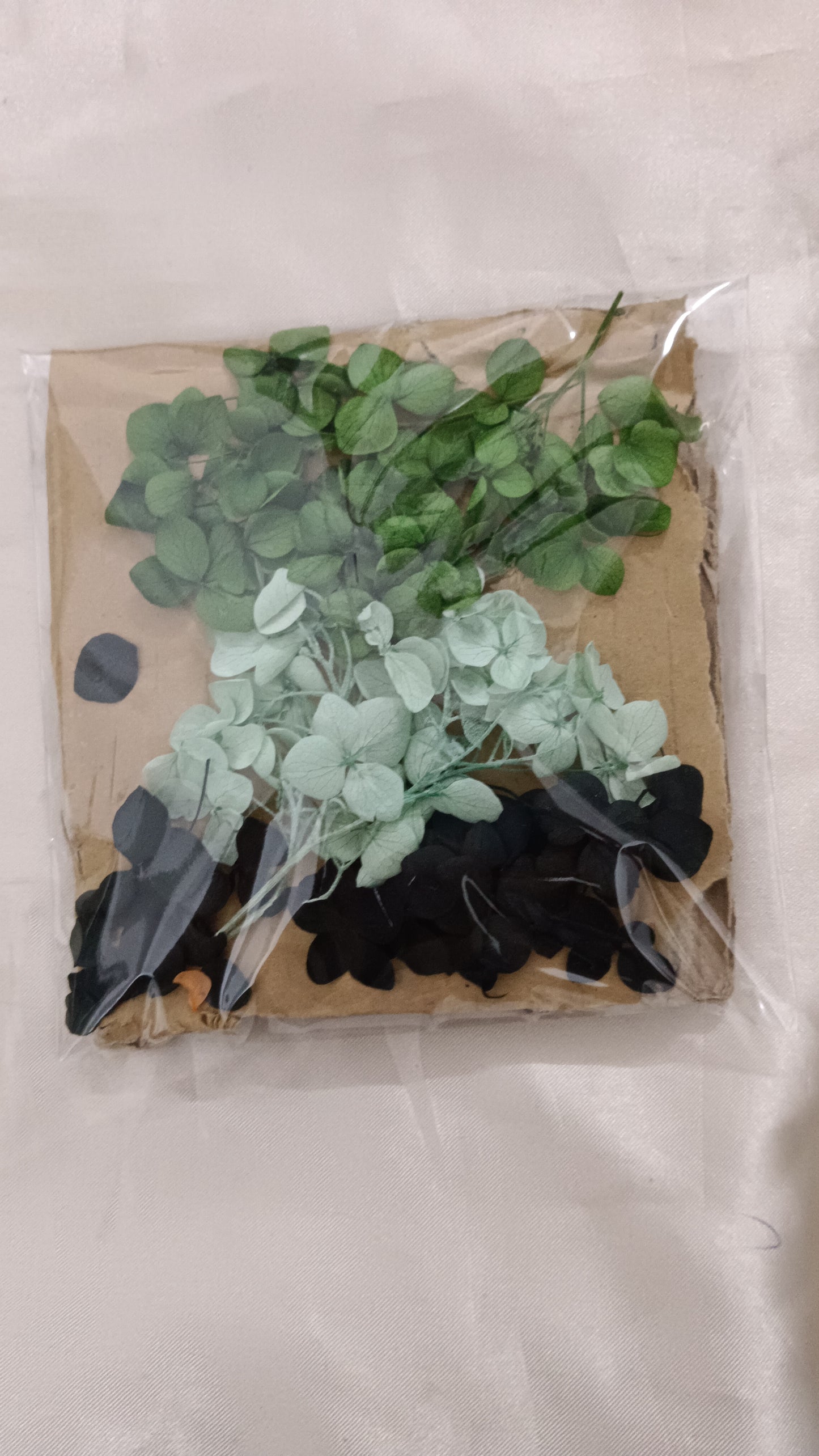 Hydrangea combo 16