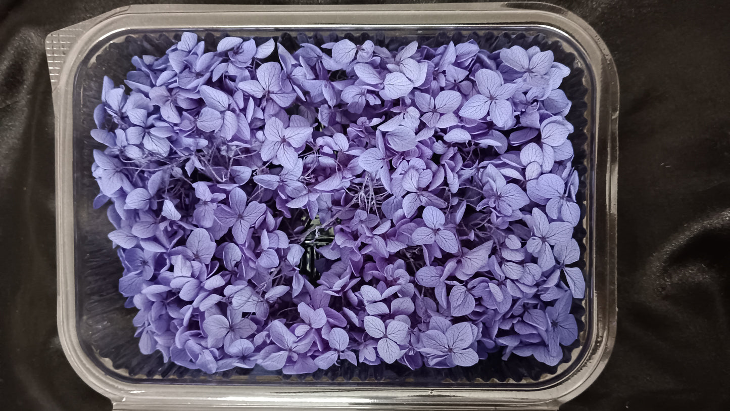 Lavendar Hydrangeas box