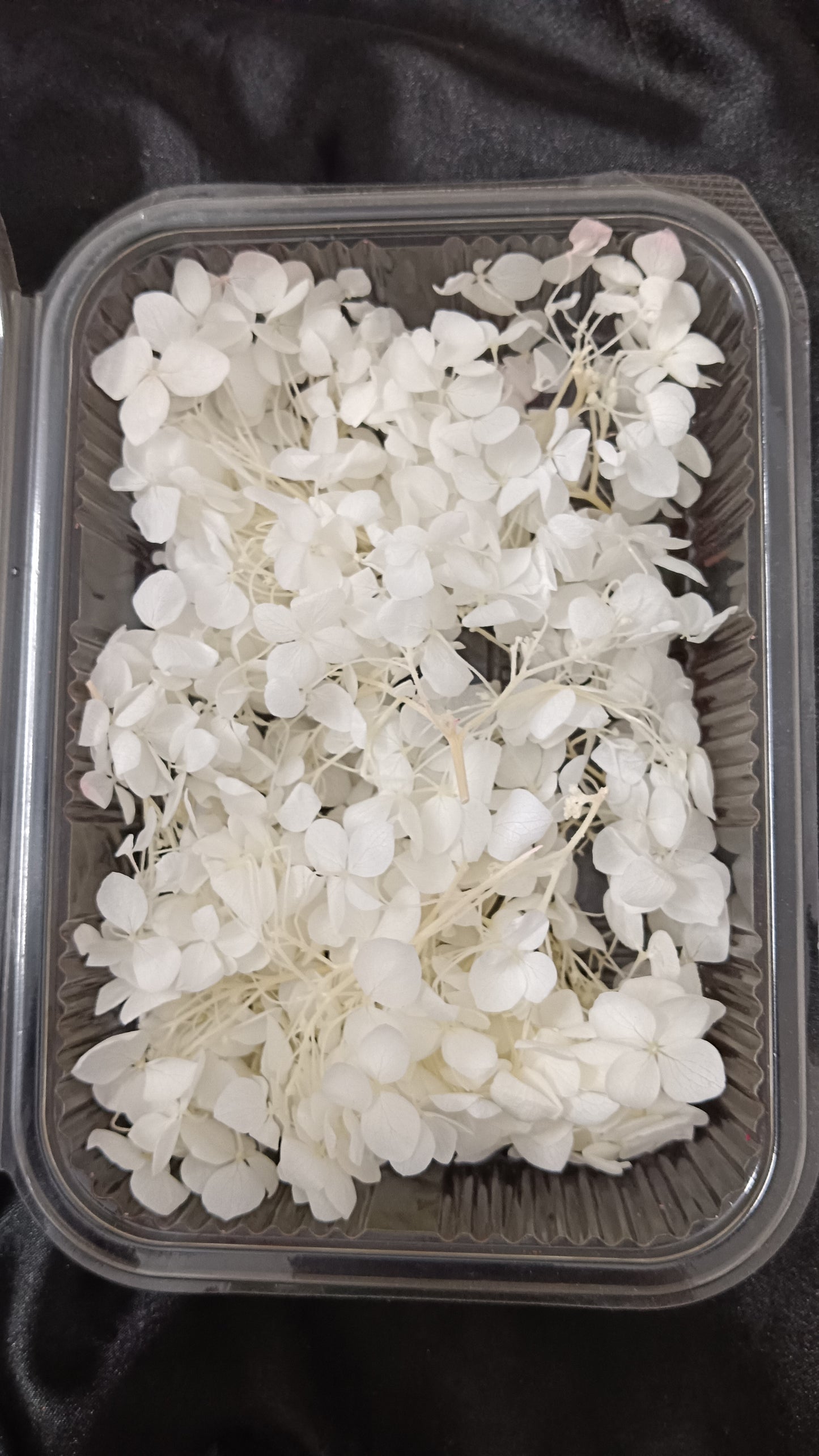 White Hydrangeas box
