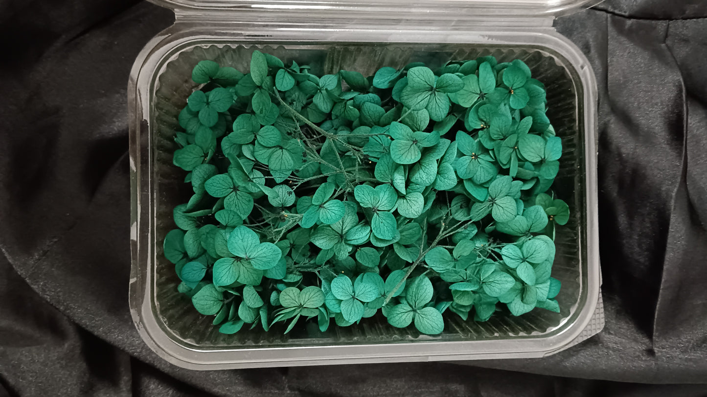 Dark green Hydrangeas box