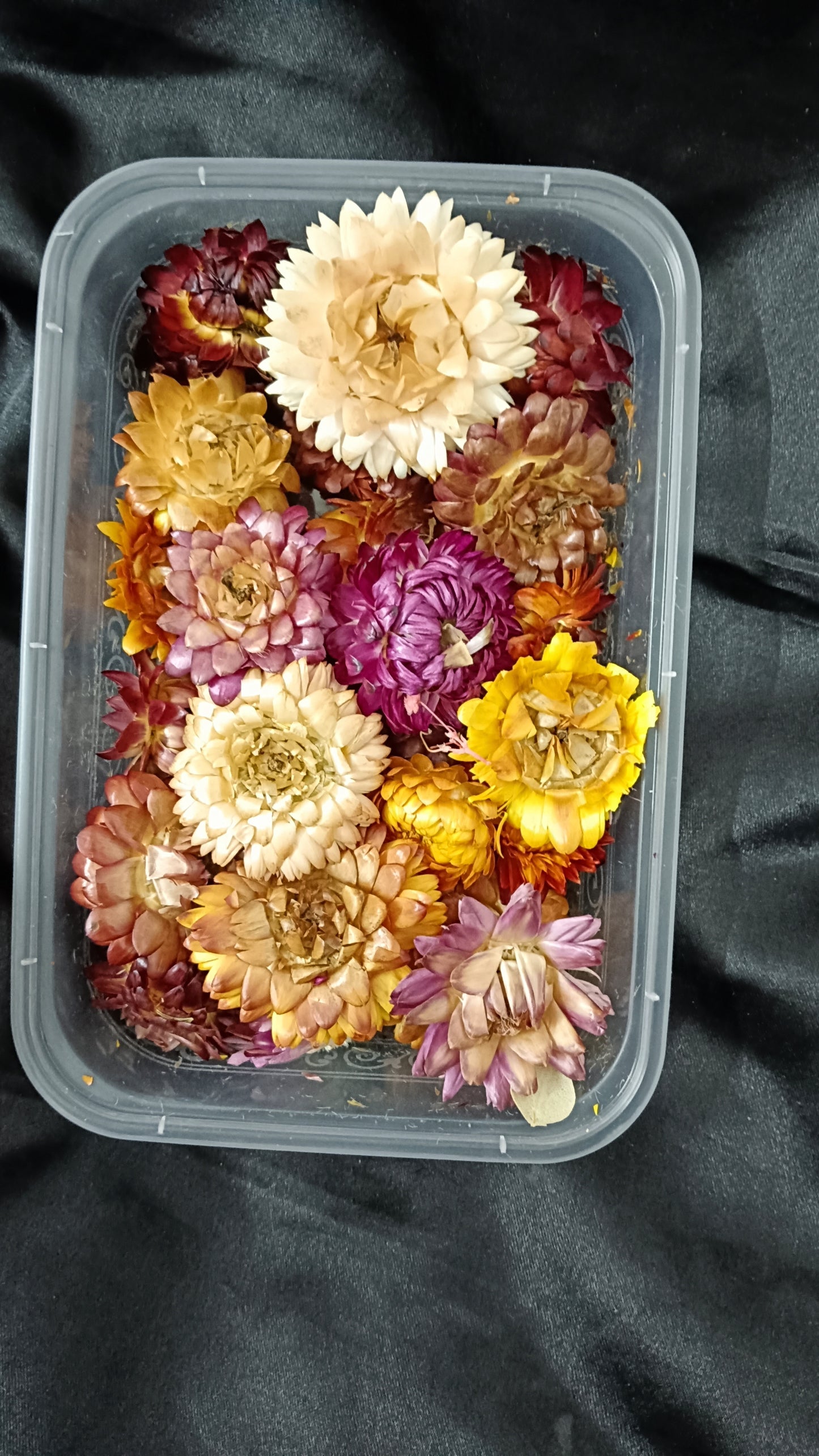 Dry Flower Box