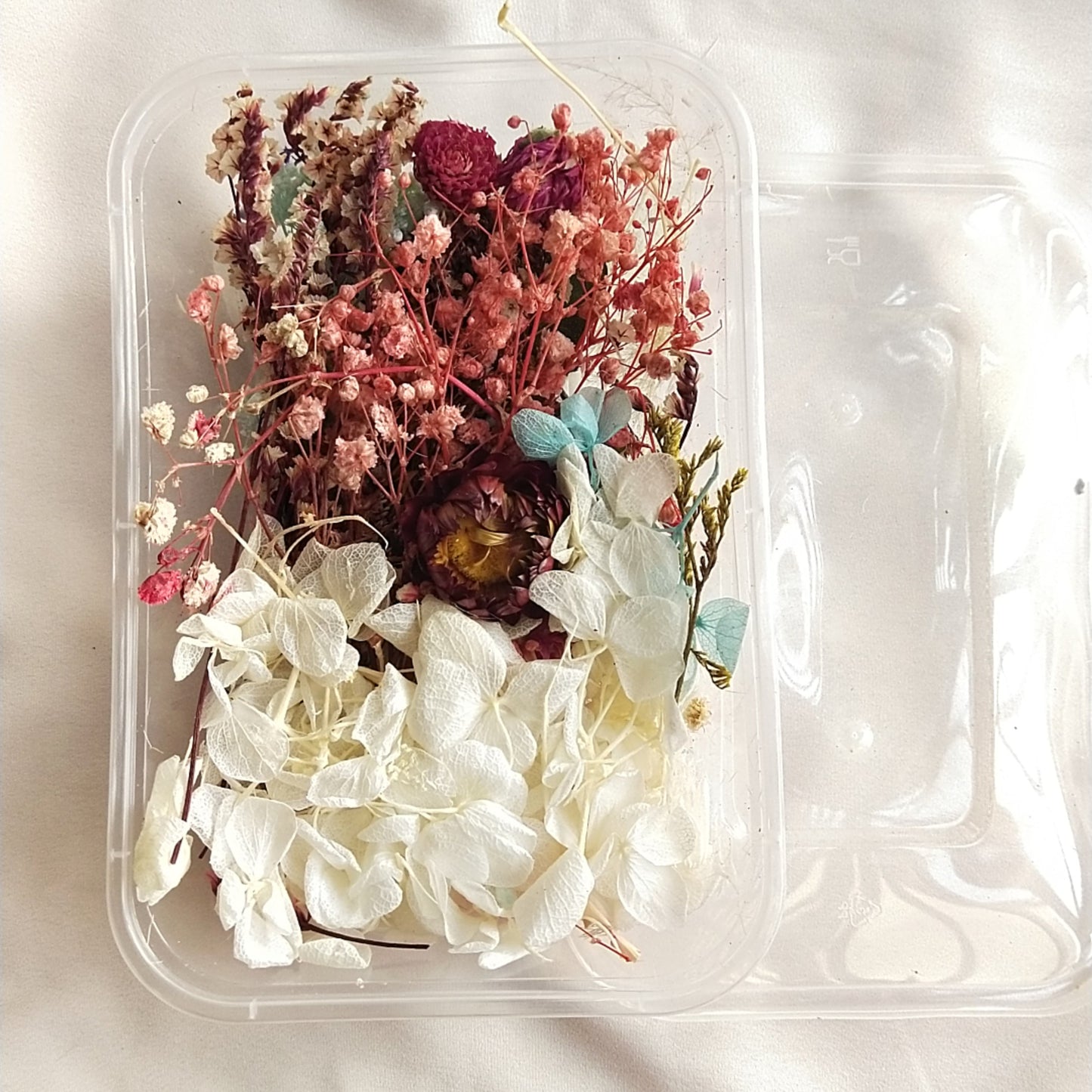 Dry Flower Box (Random color)