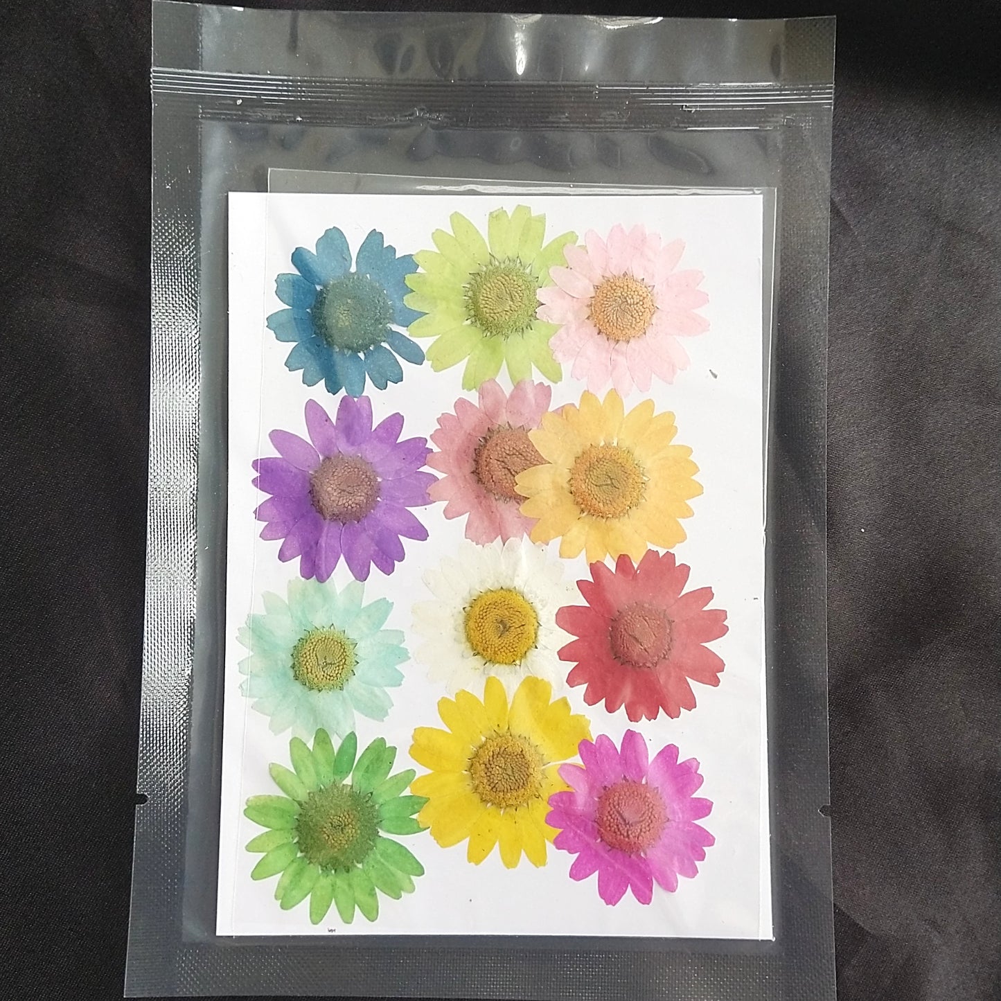 Mixed Dasiy Dried flower
