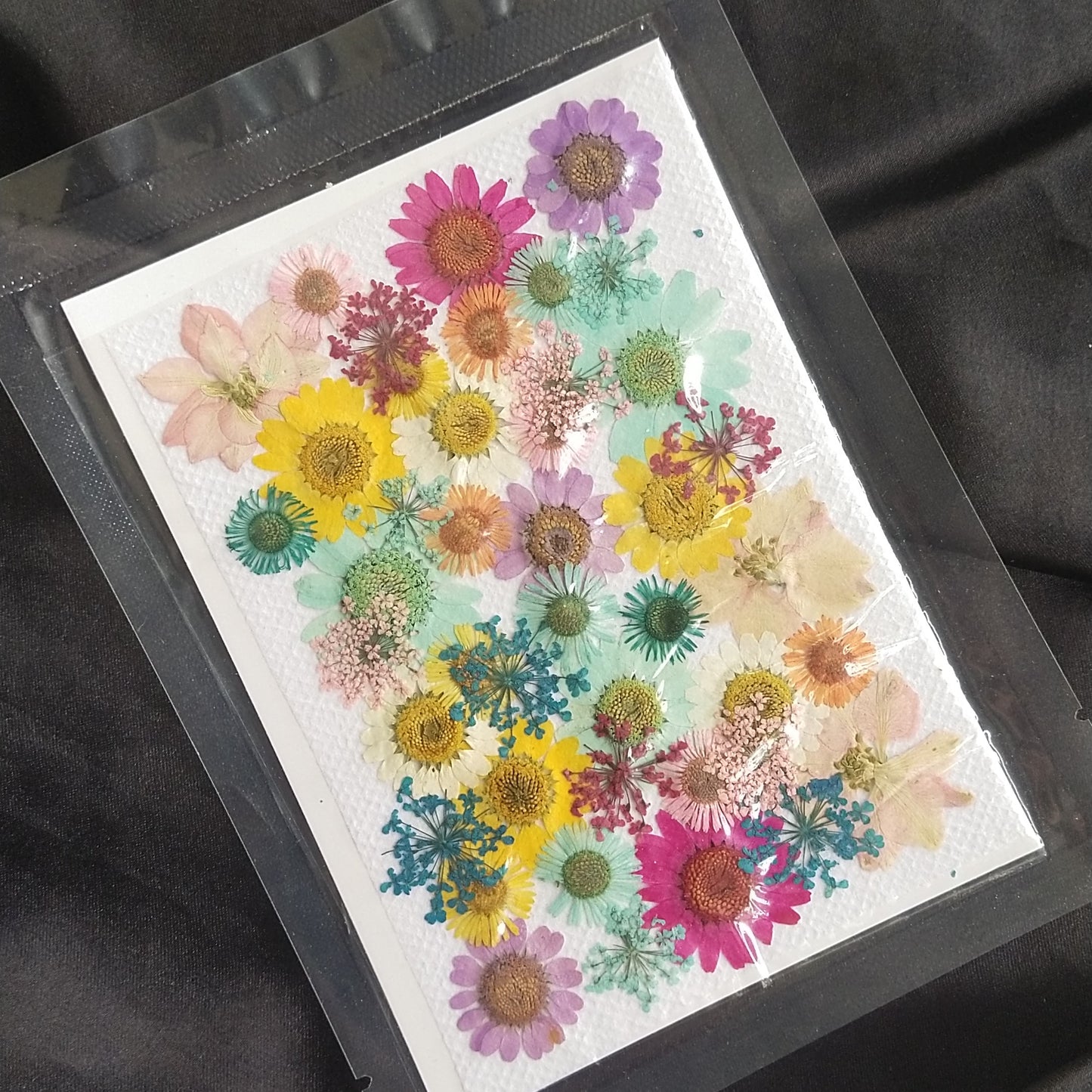 Mixed dried & pressed flower pack
