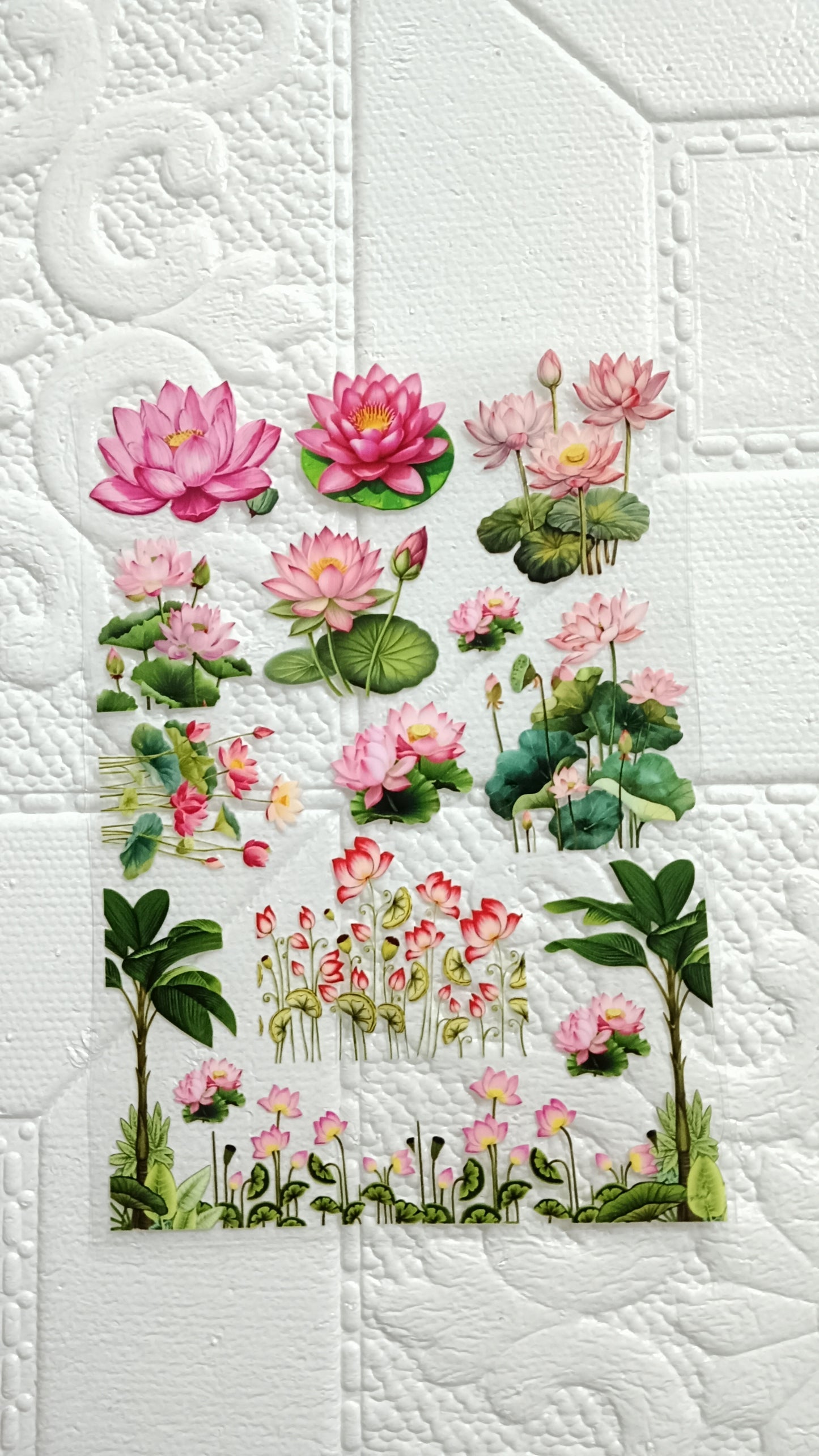 Lotus flower sheet