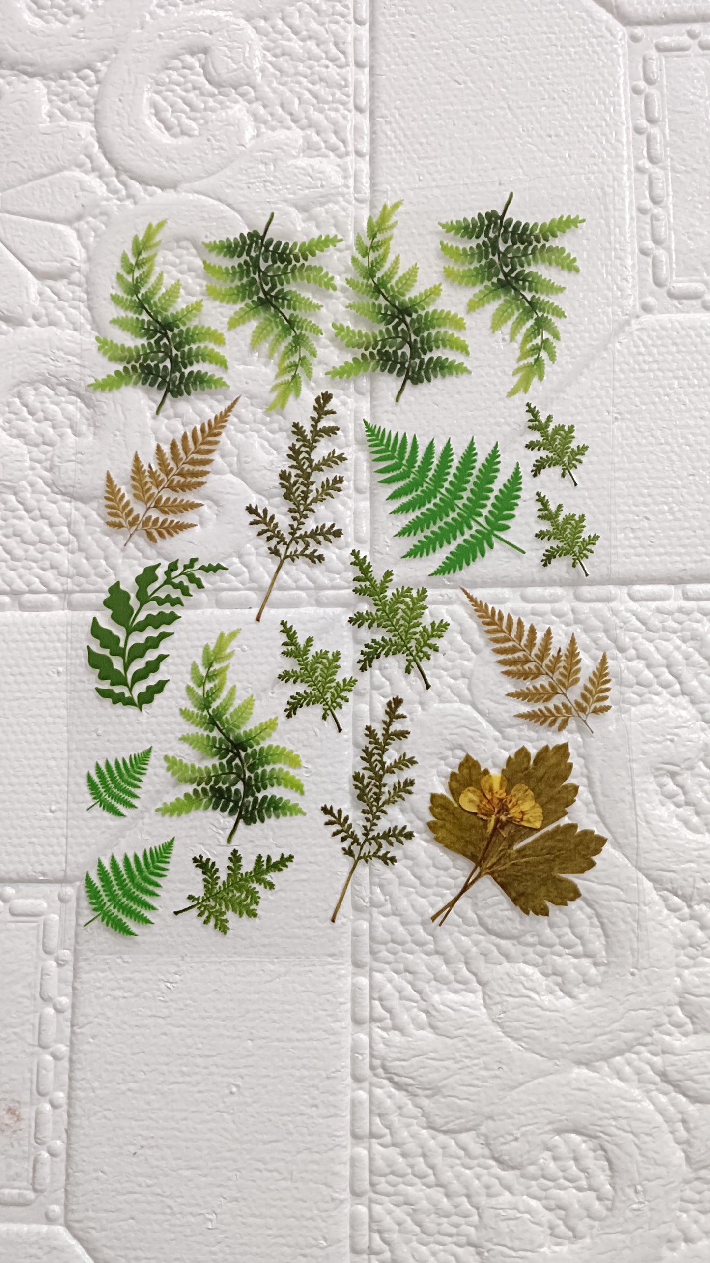 Leaf sheet