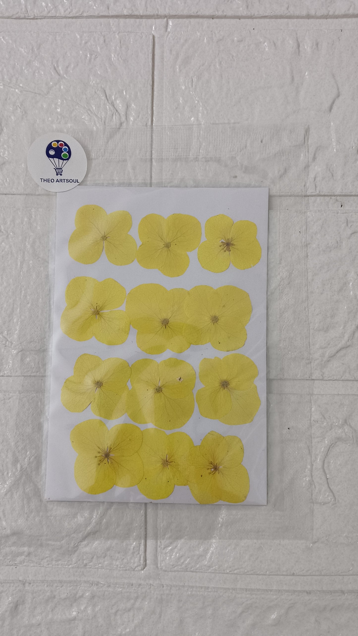 Yellow hydrangeas