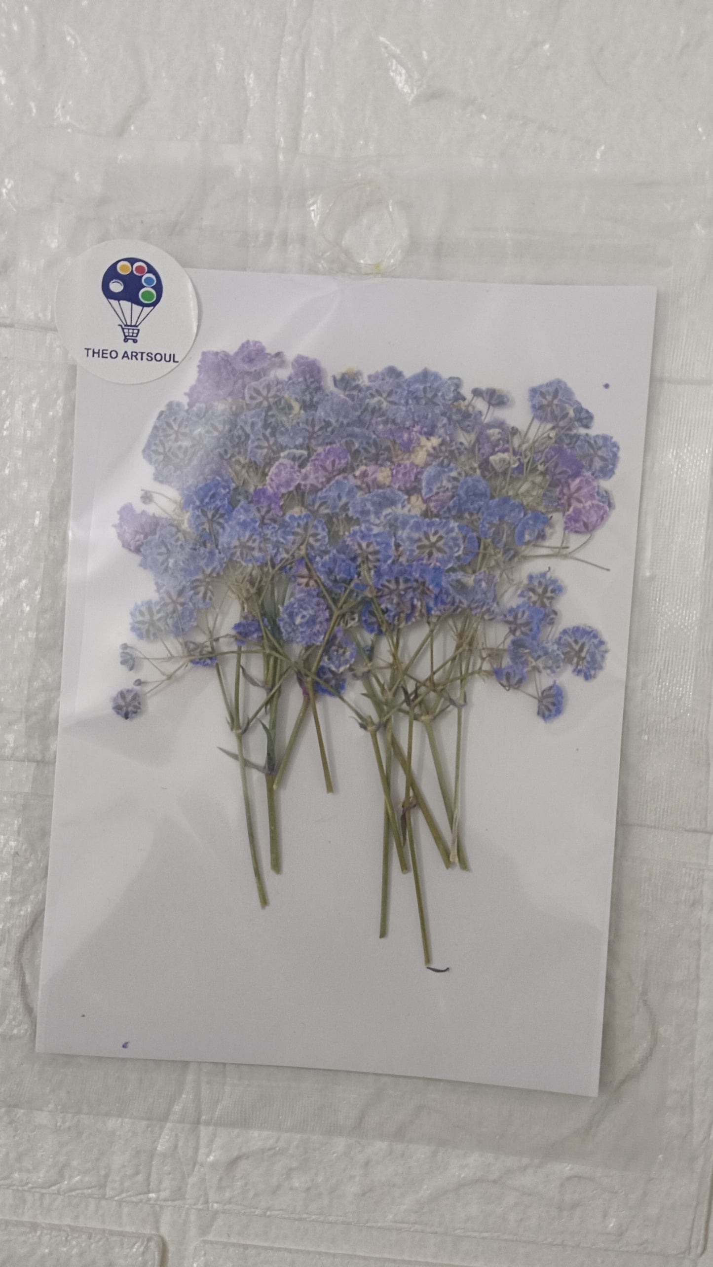 Purple baby breath