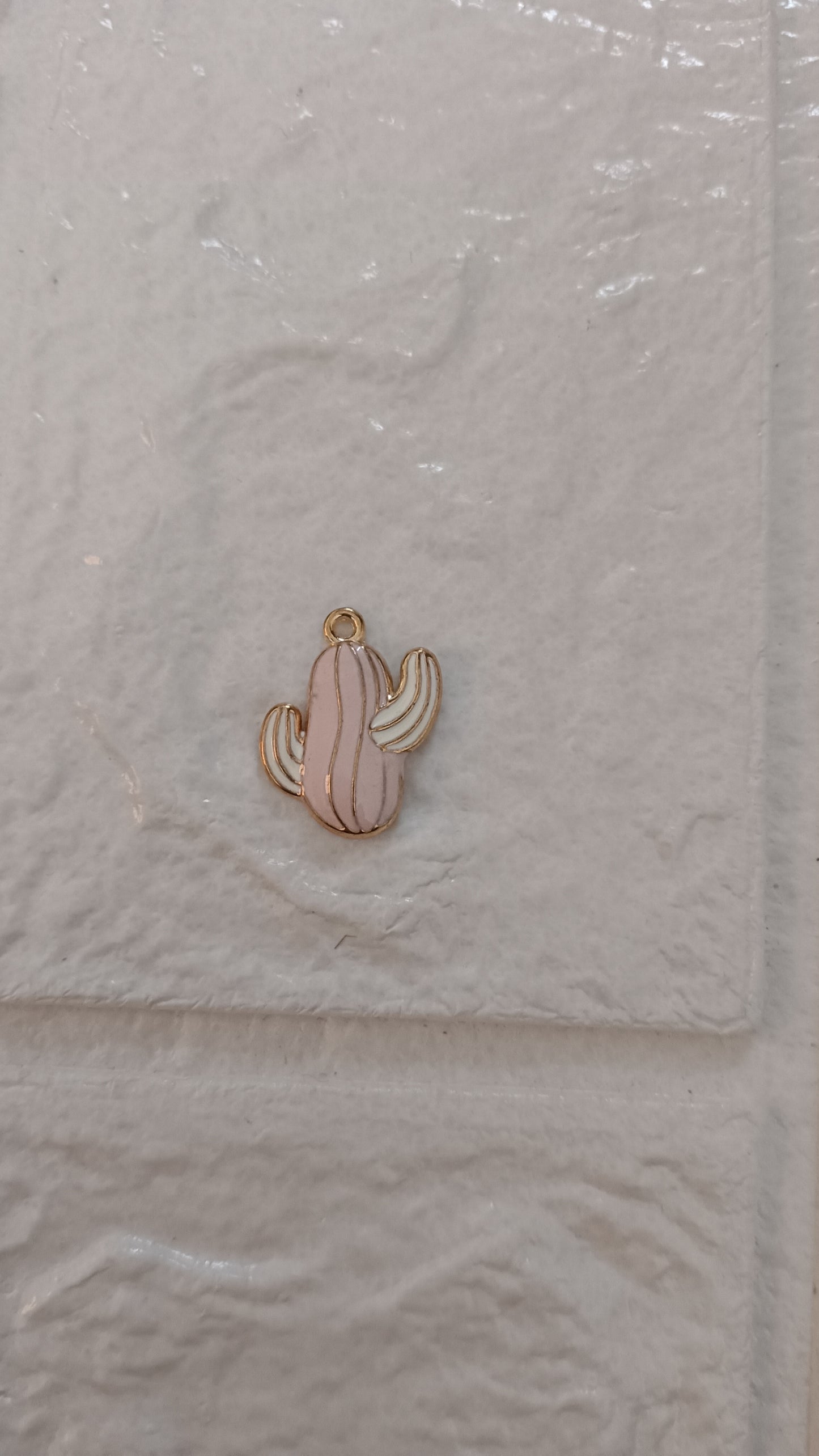 Cactus charms pack of 1