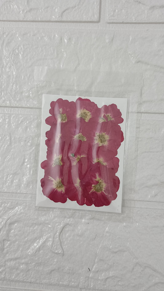 Rose pressed flower pack