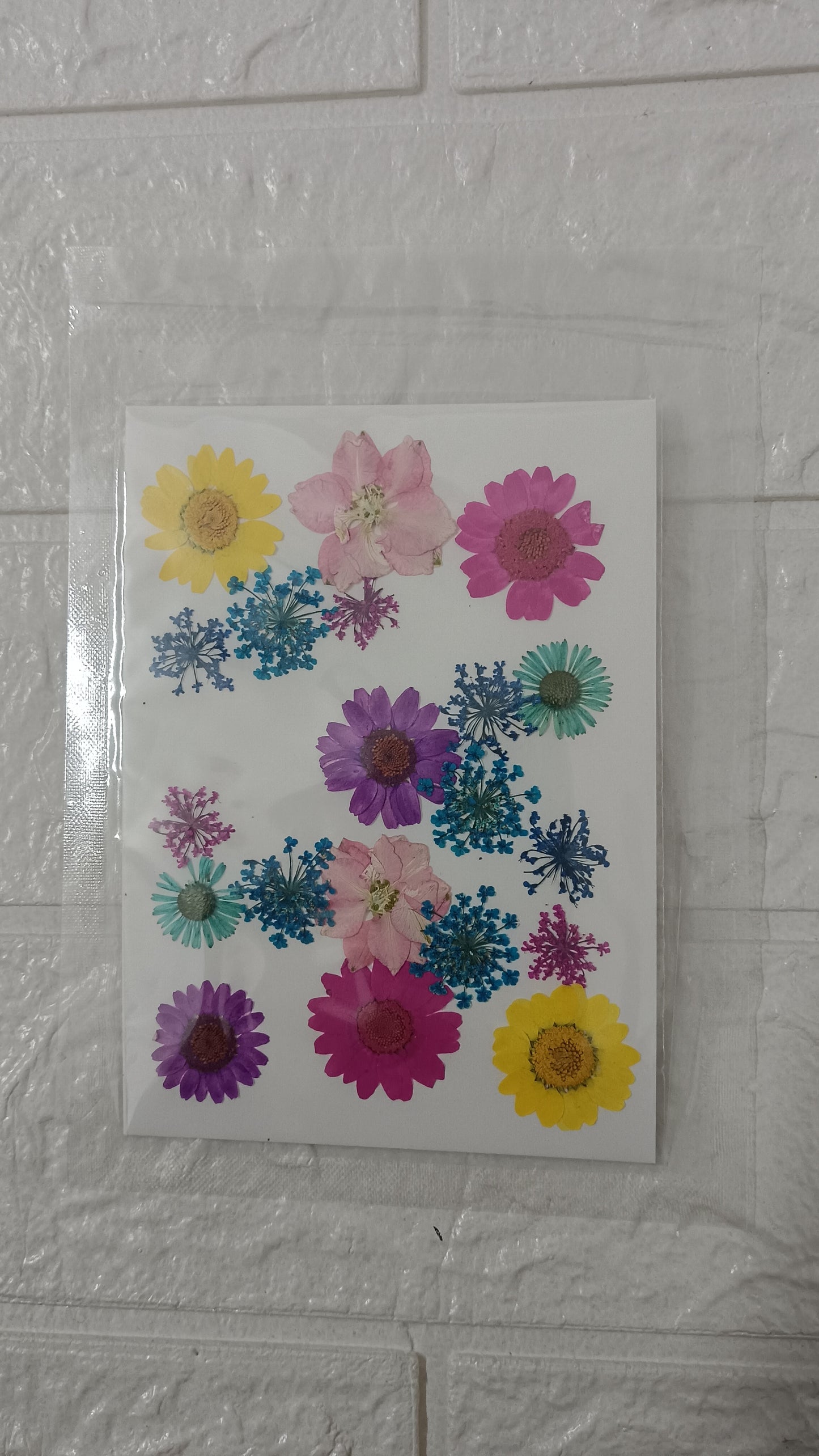 New Mixed dried & pressed flower pack