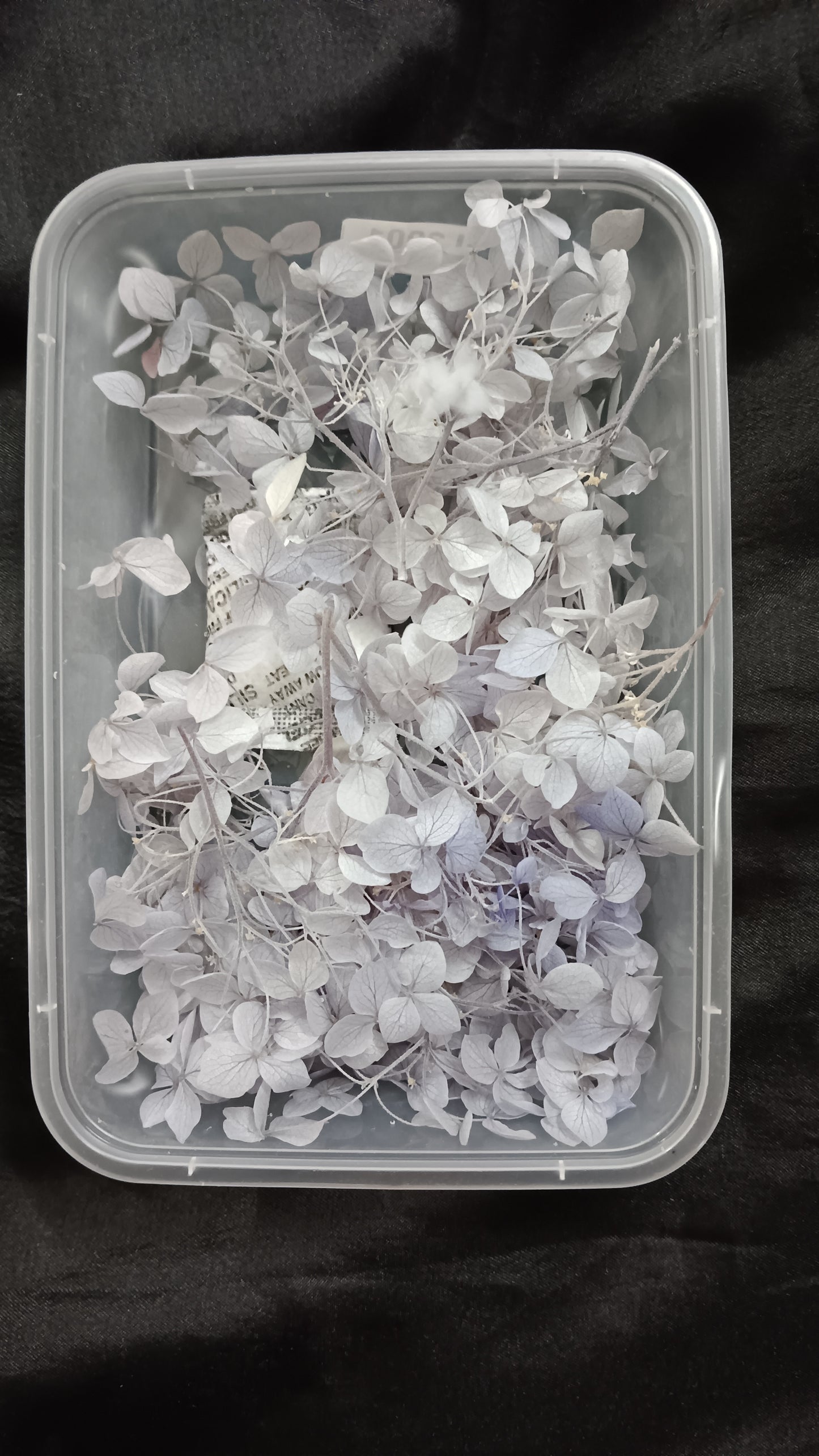Light blue Hydrangeas box