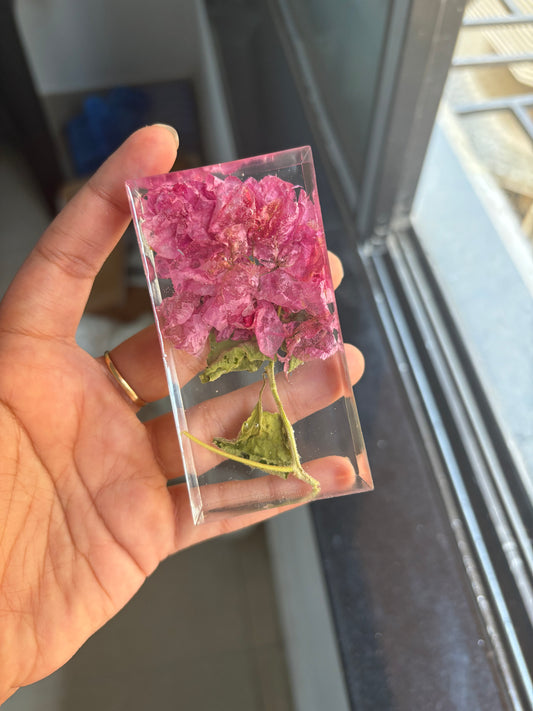 Single flower preservation block 4”