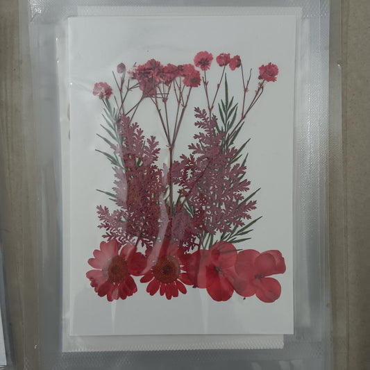 Red flower pack
