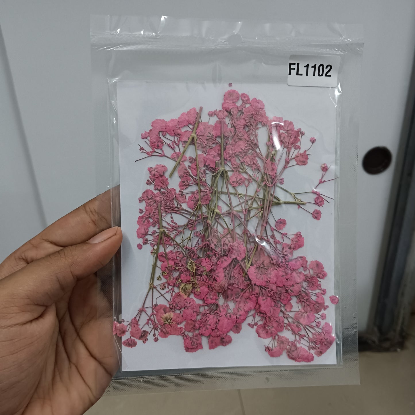 Pink baby breath