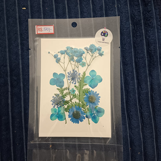 Blue flower pack