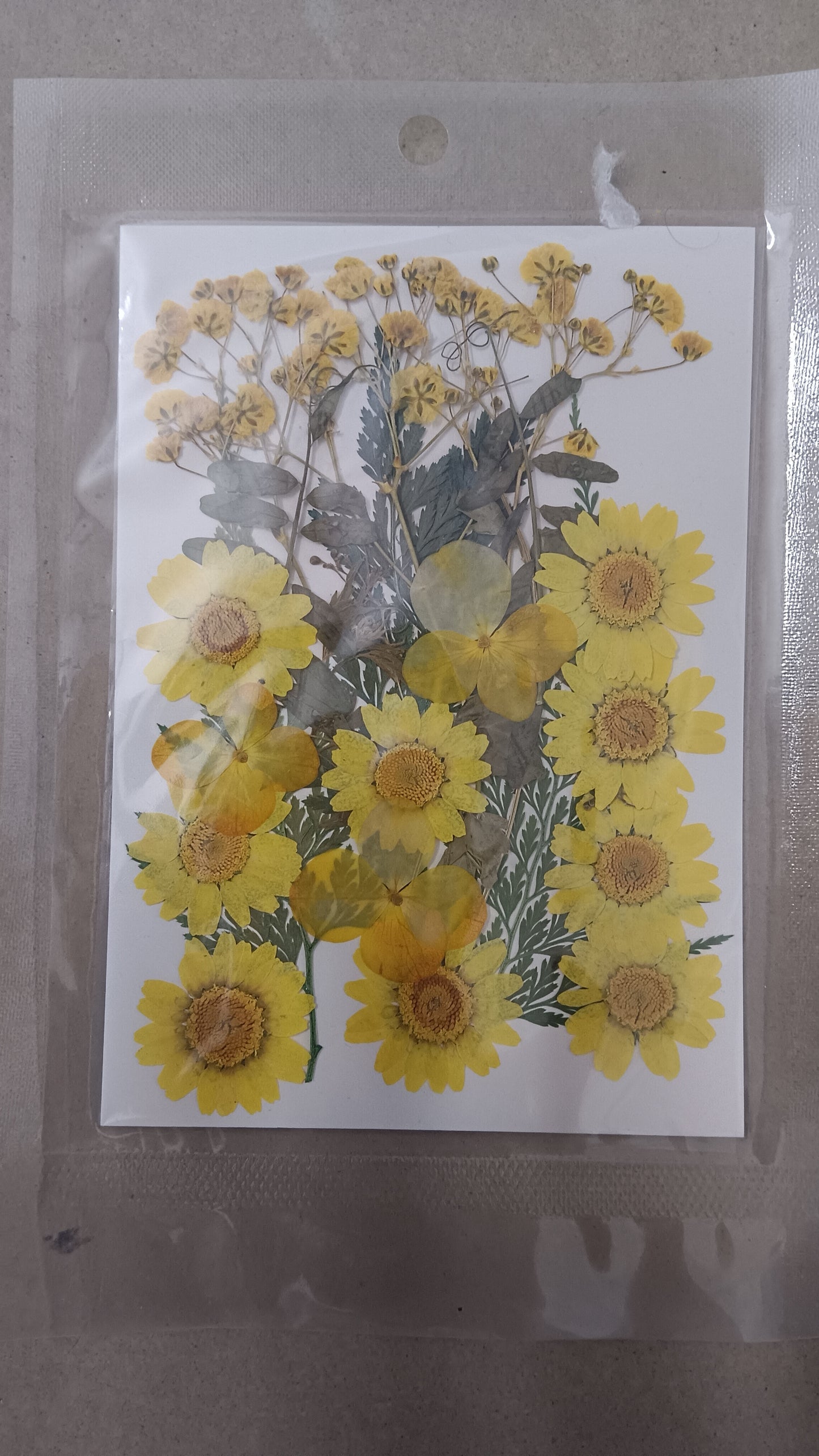 Big Yellow flower pack