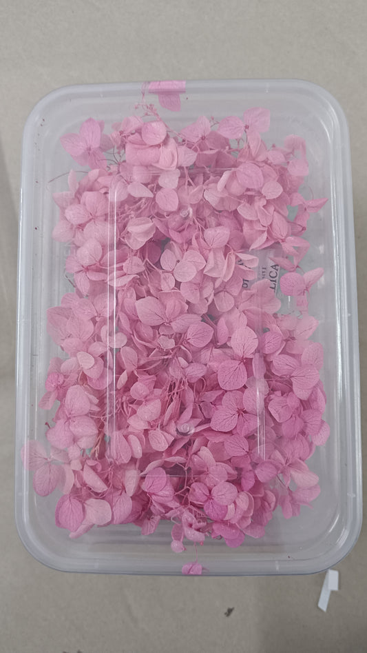 Hydrangeas box